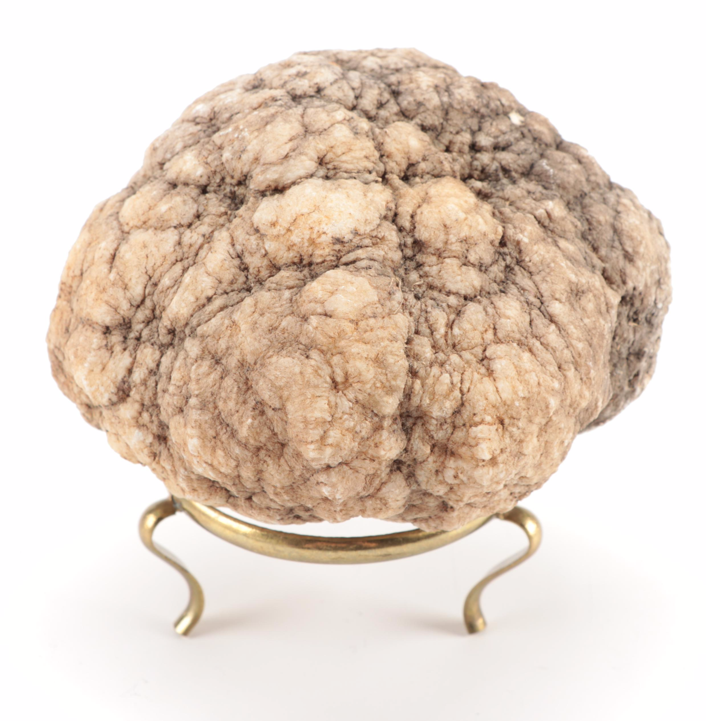 Polished and Rough Gemstones Including Tiger's Eye, Turquoise, Jasper, and More