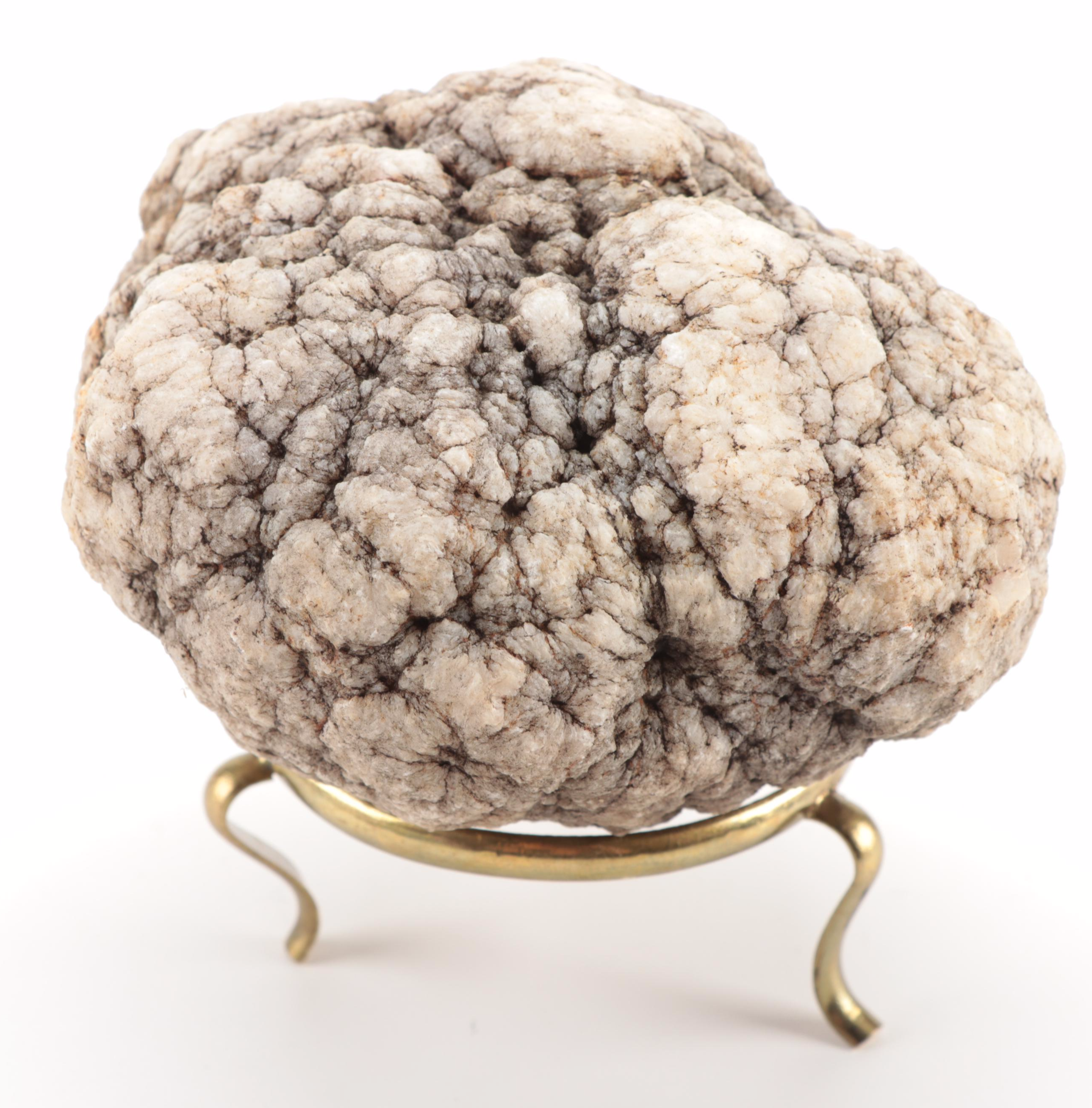 Polished and Rough Gemstones Including Tiger's Eye, Turquoise, Jasper, and More