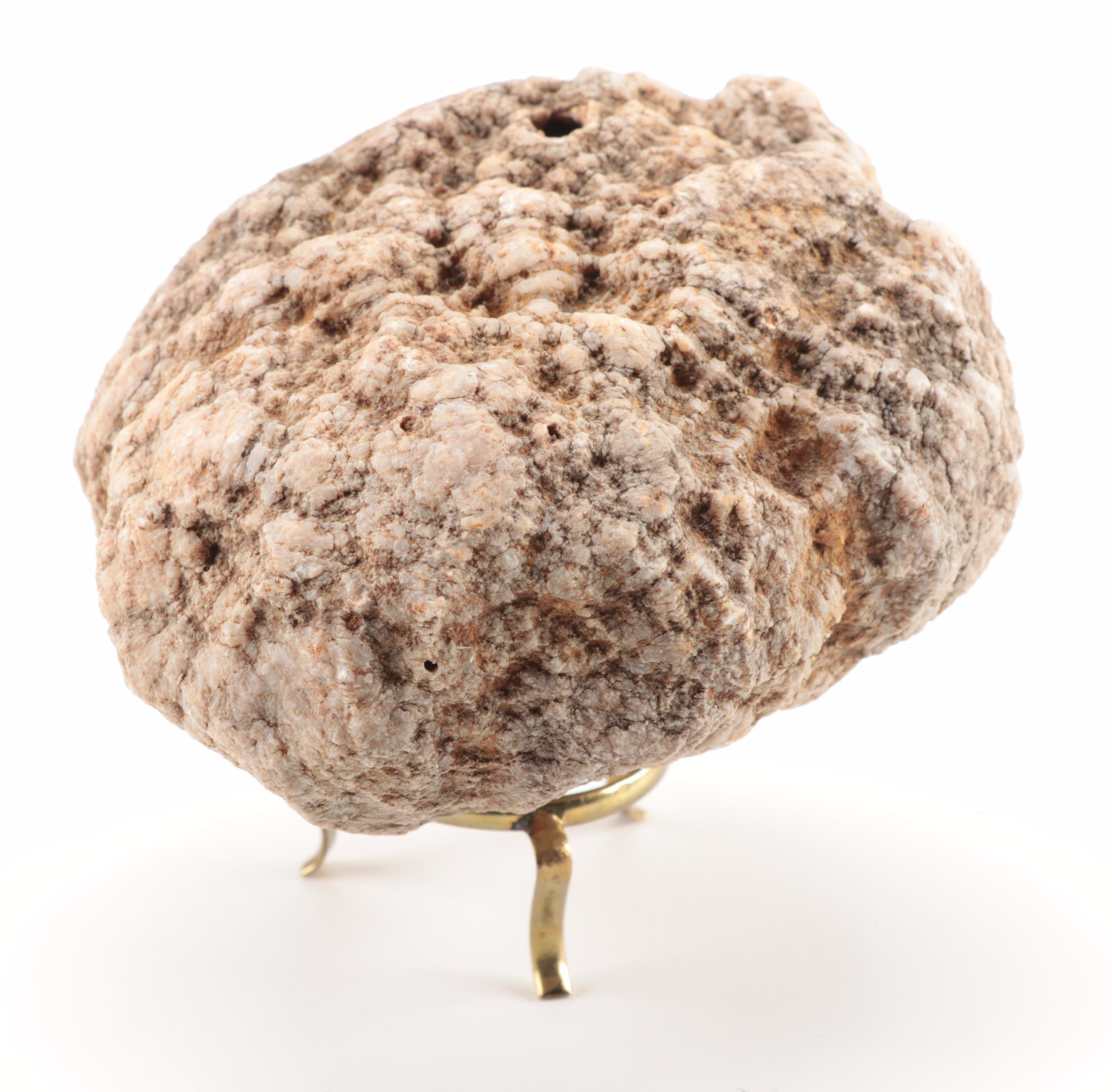 Polished and Rough Gemstones Including Tiger's Eye, Turquoise, Jasper, and More