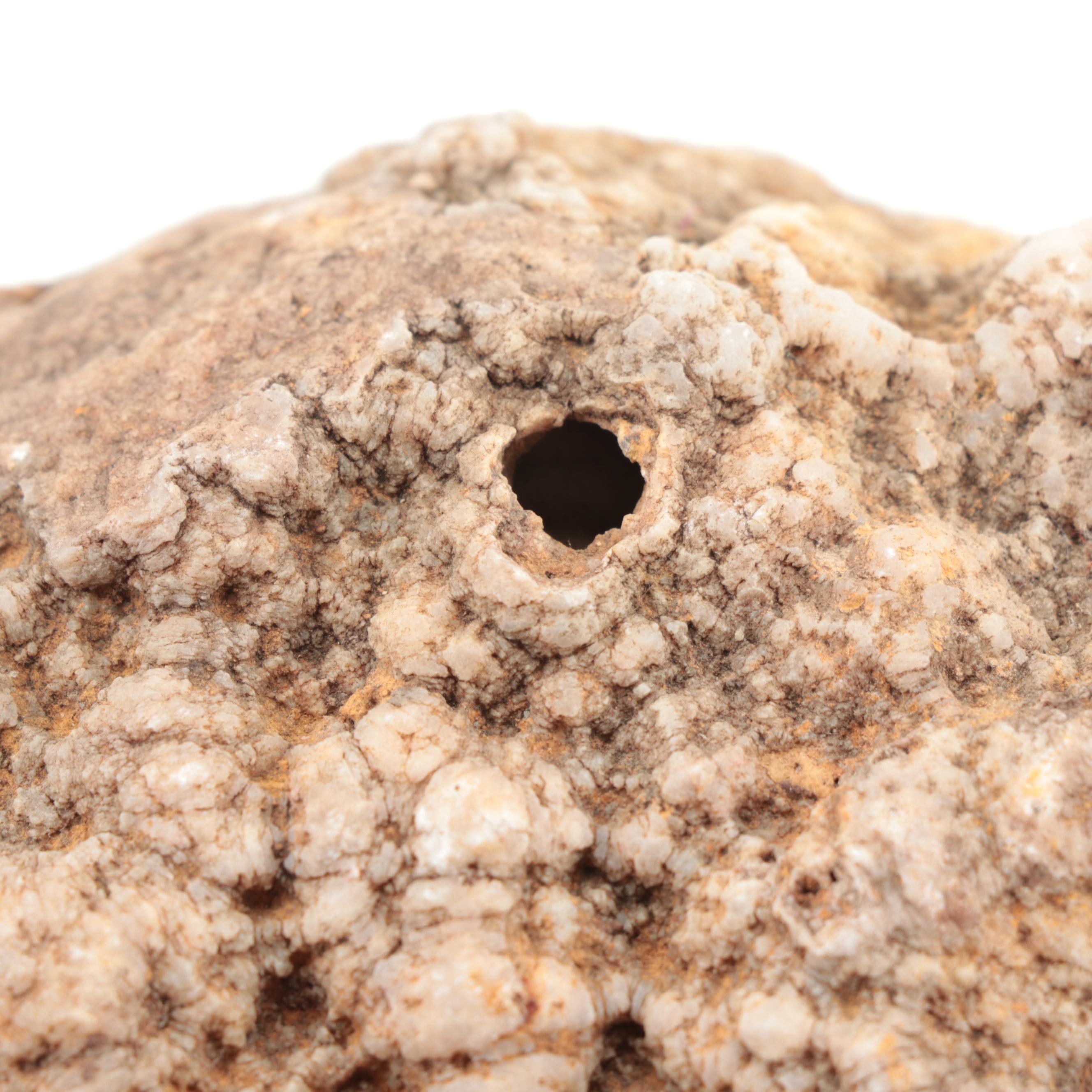 Polished and Rough Gemstones Including Tiger's Eye, Turquoise, Jasper, and More