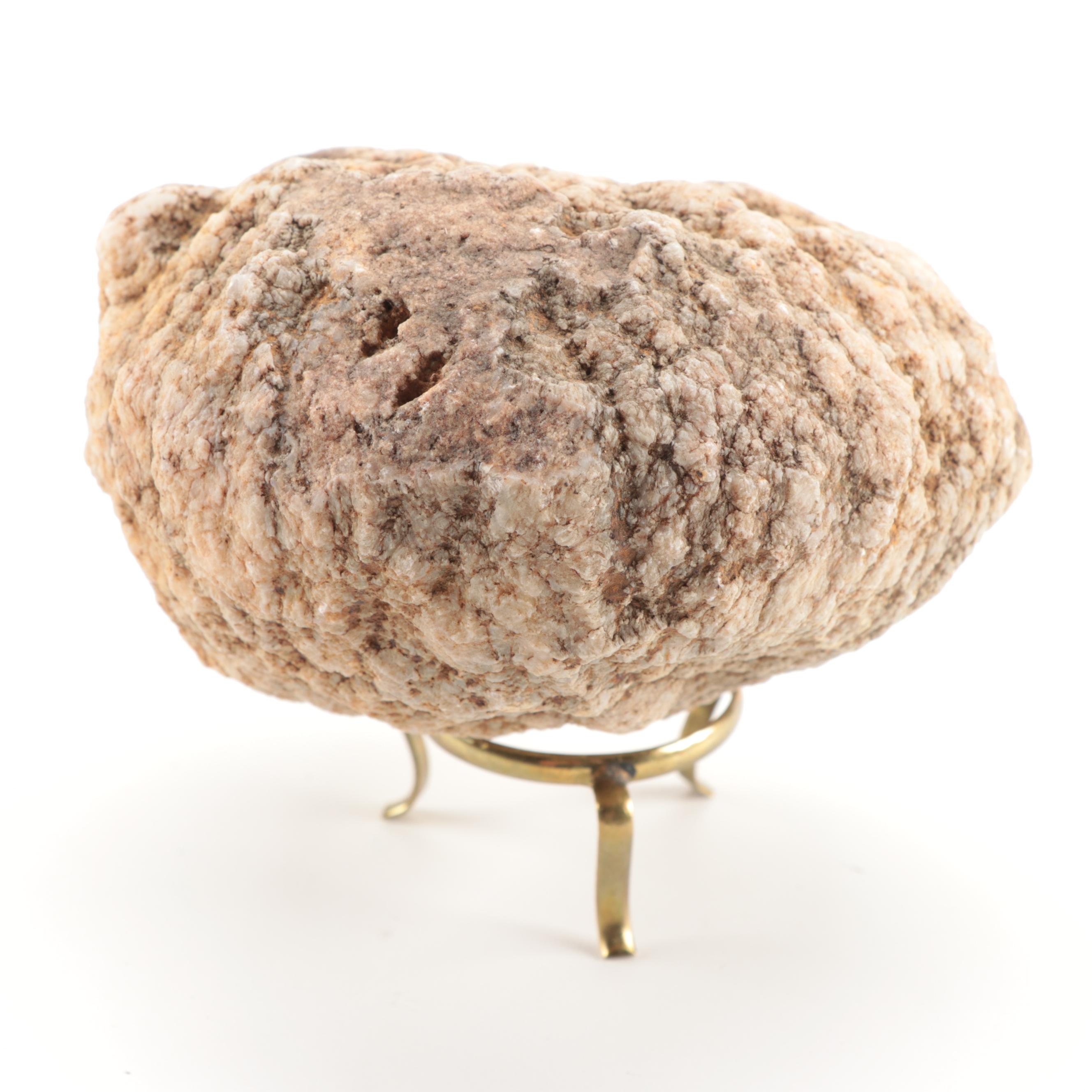 Polished and Rough Gemstones Including Tiger's Eye, Turquoise, Jasper, and More