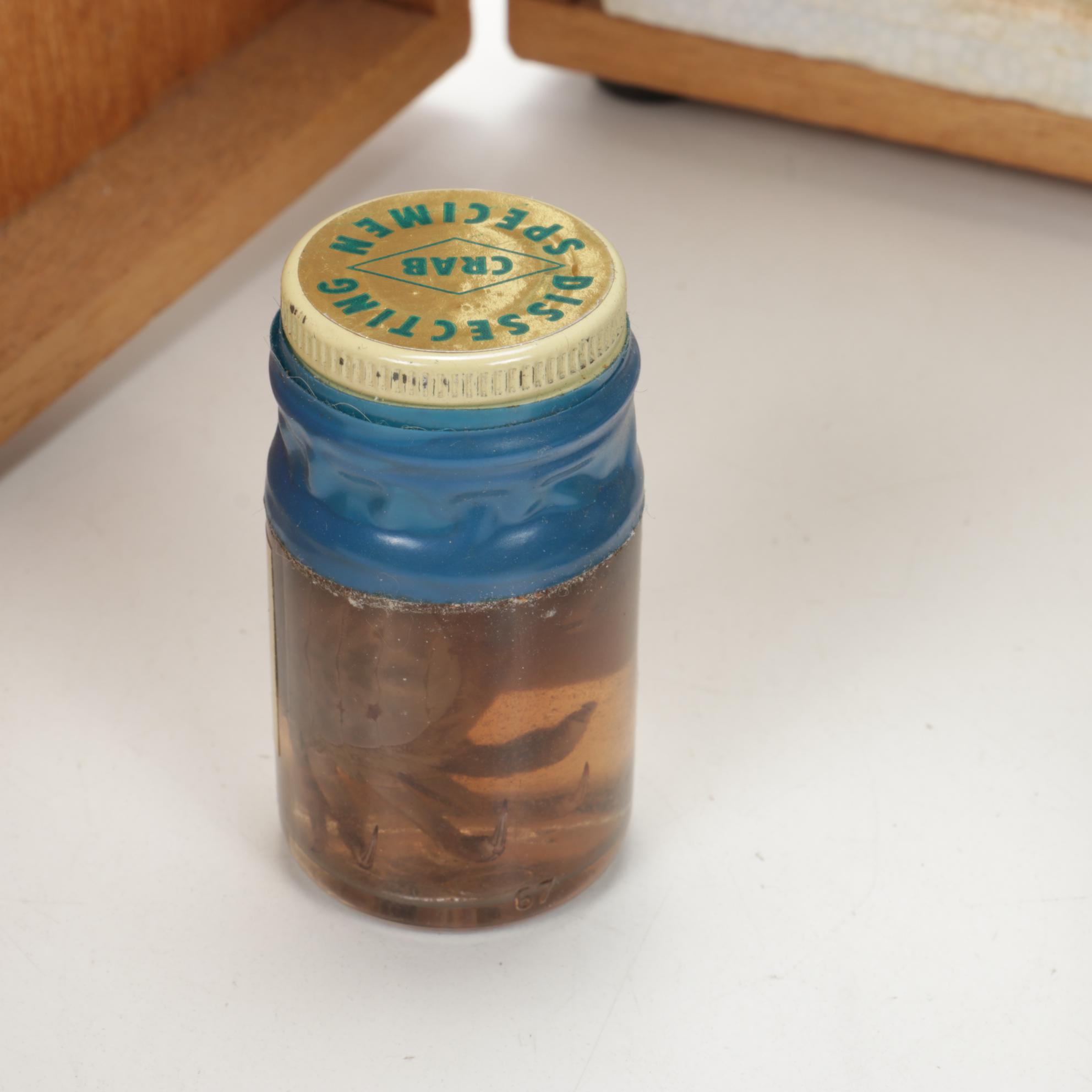 Tasco Deluxe, Gilbert, and Other Microscopes and Lab Equipment, Mid-20th Century