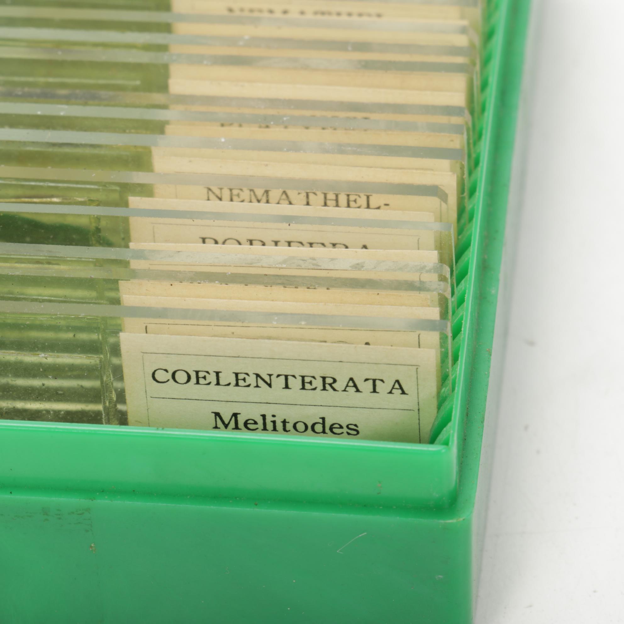 Tasco Deluxe, Gilbert, and Other Microscopes and Lab Equipment, Mid-20th Century