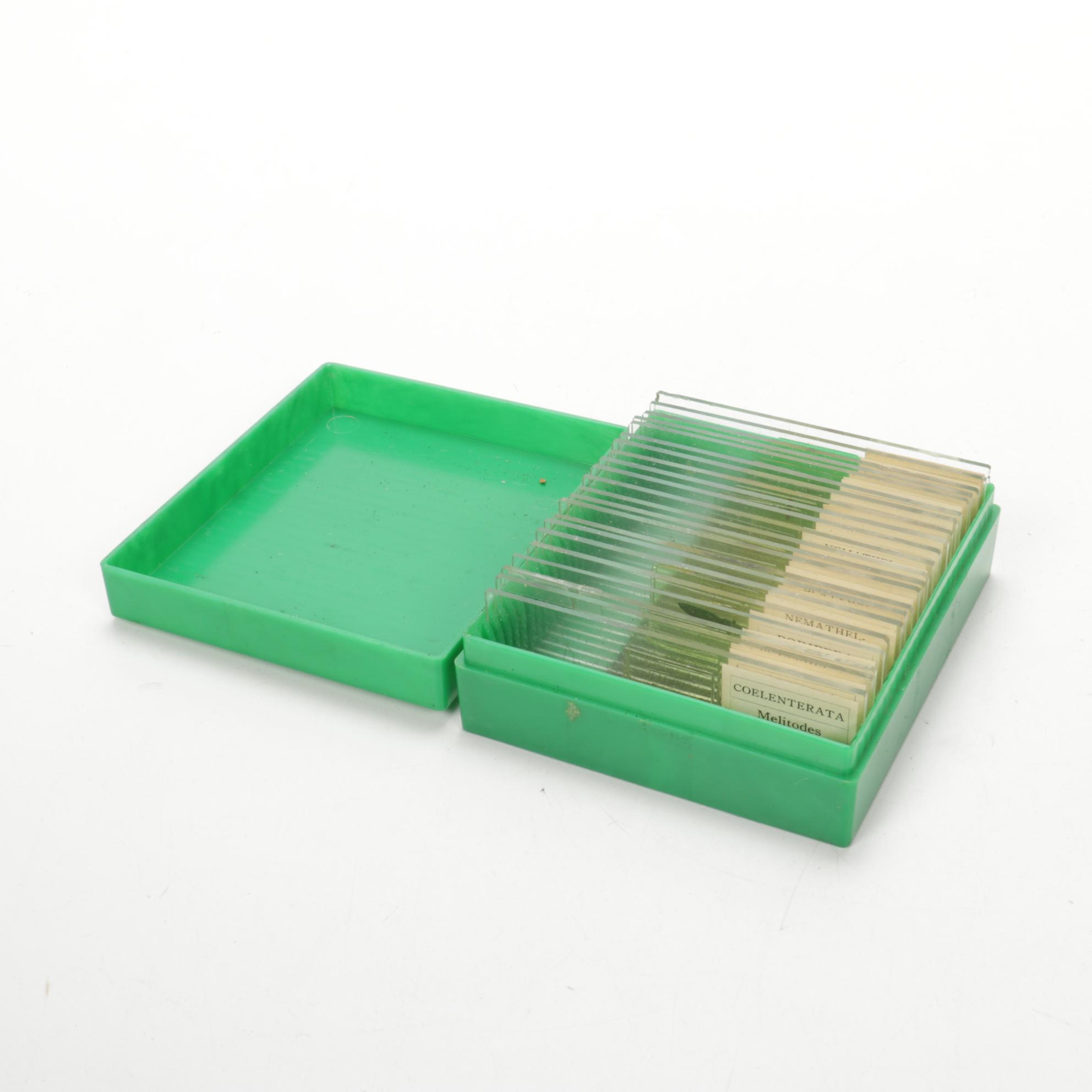 Tasco Deluxe, Gilbert, and Other Microscopes and Lab Equipment, Mid-20th Century