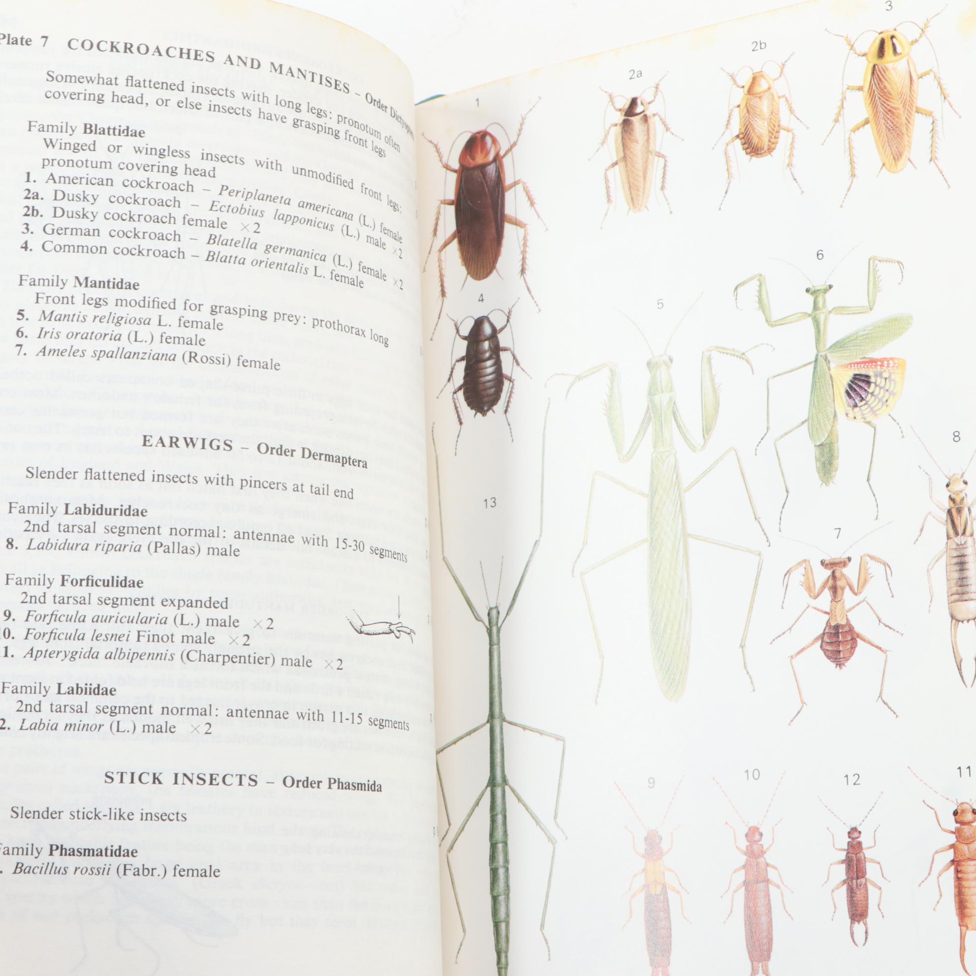 Easton Press Edition "Field Guides" by Roger Tory Peterson, Late 20th Century