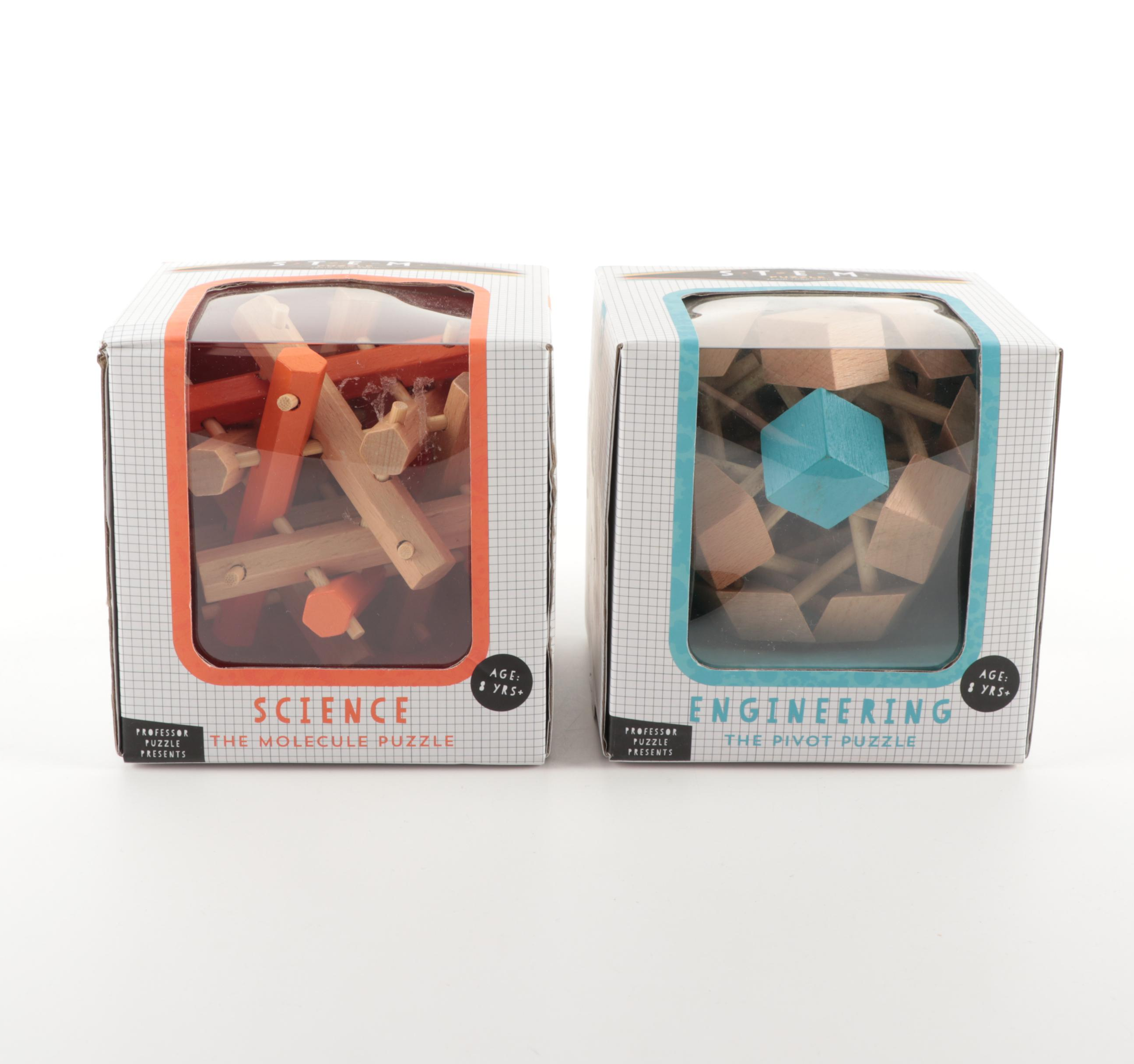 Professor Puzzle STEM "Pivot Puzzle" and "Molecule Puzzle"