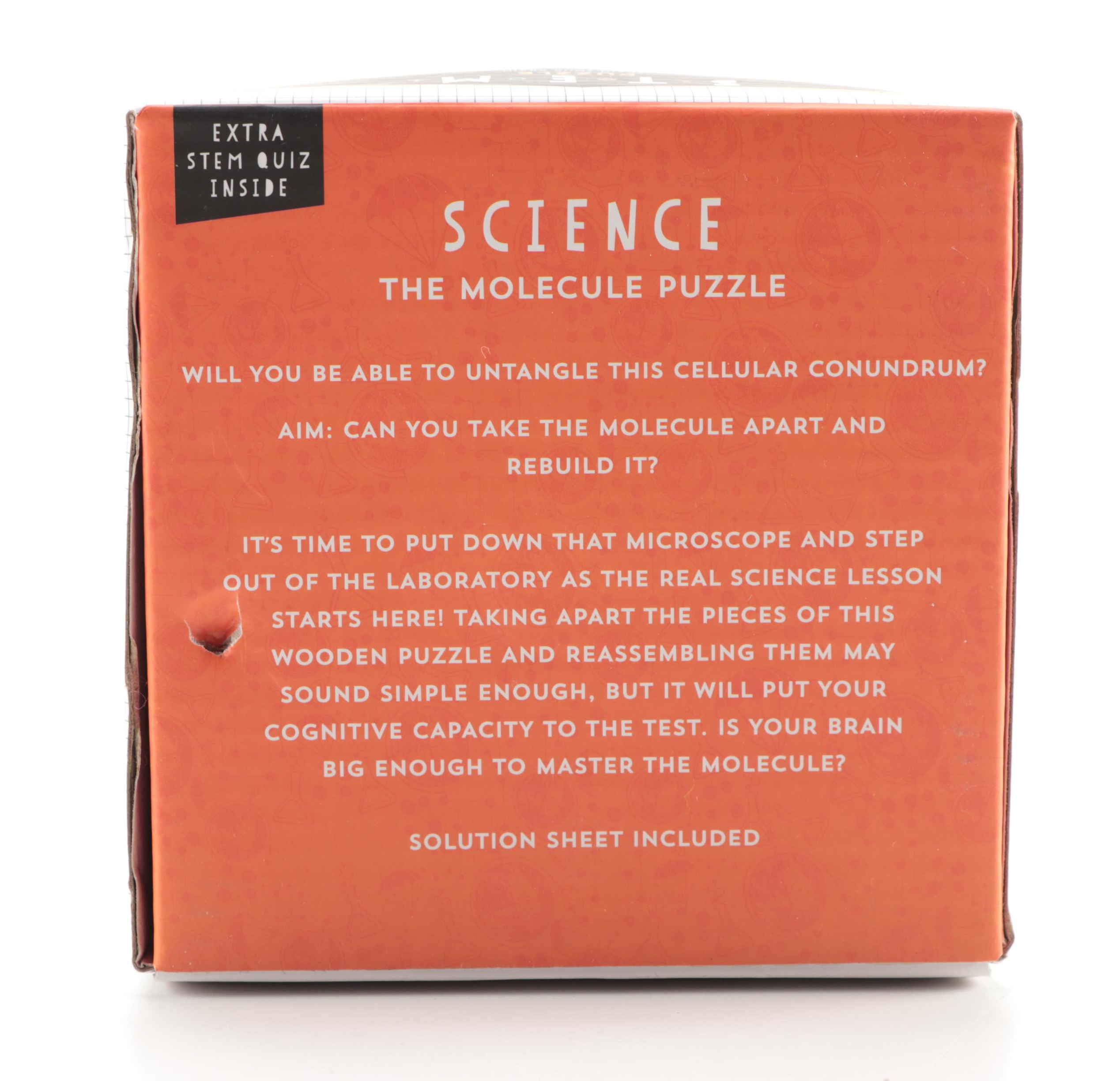 Professor Puzzle STEM "Pivot Puzzle" and "Molecule Puzzle"