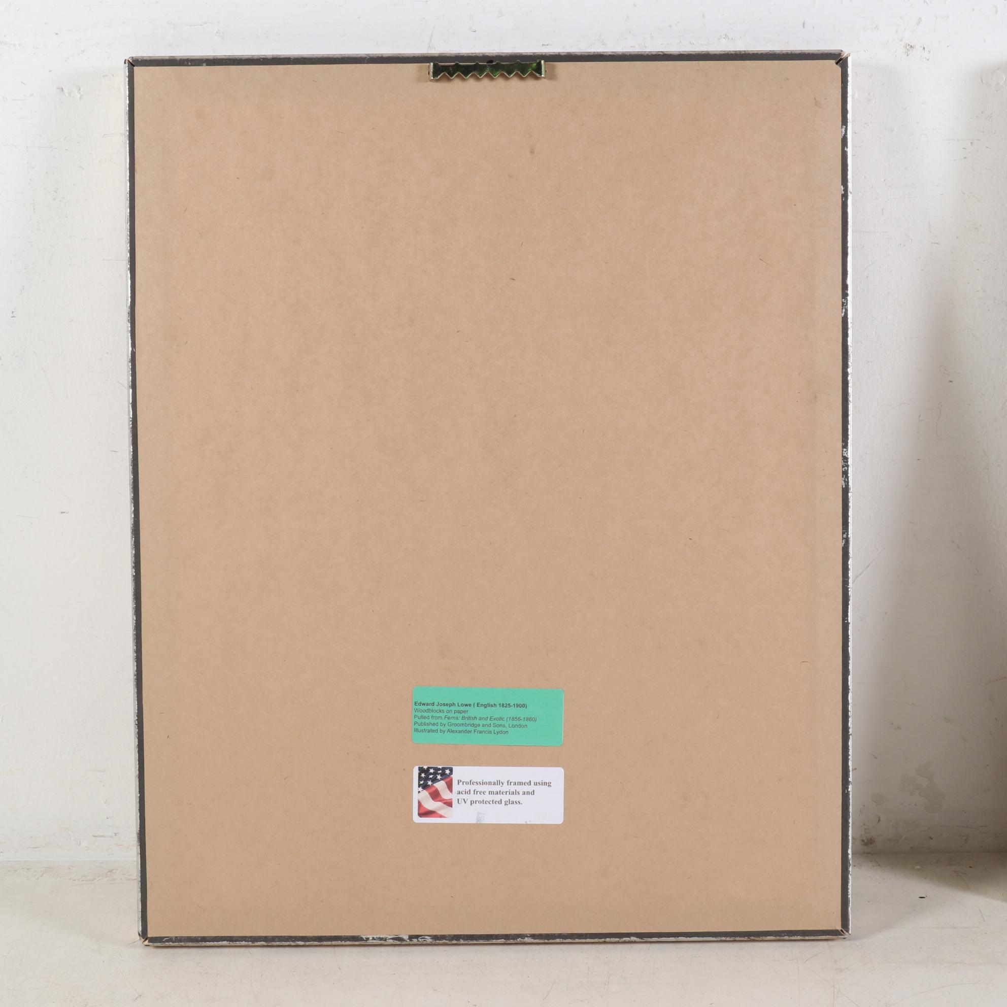 Edward Joseph Lowe and Alexander Francis Lydon Woodblocks, 1856-1860