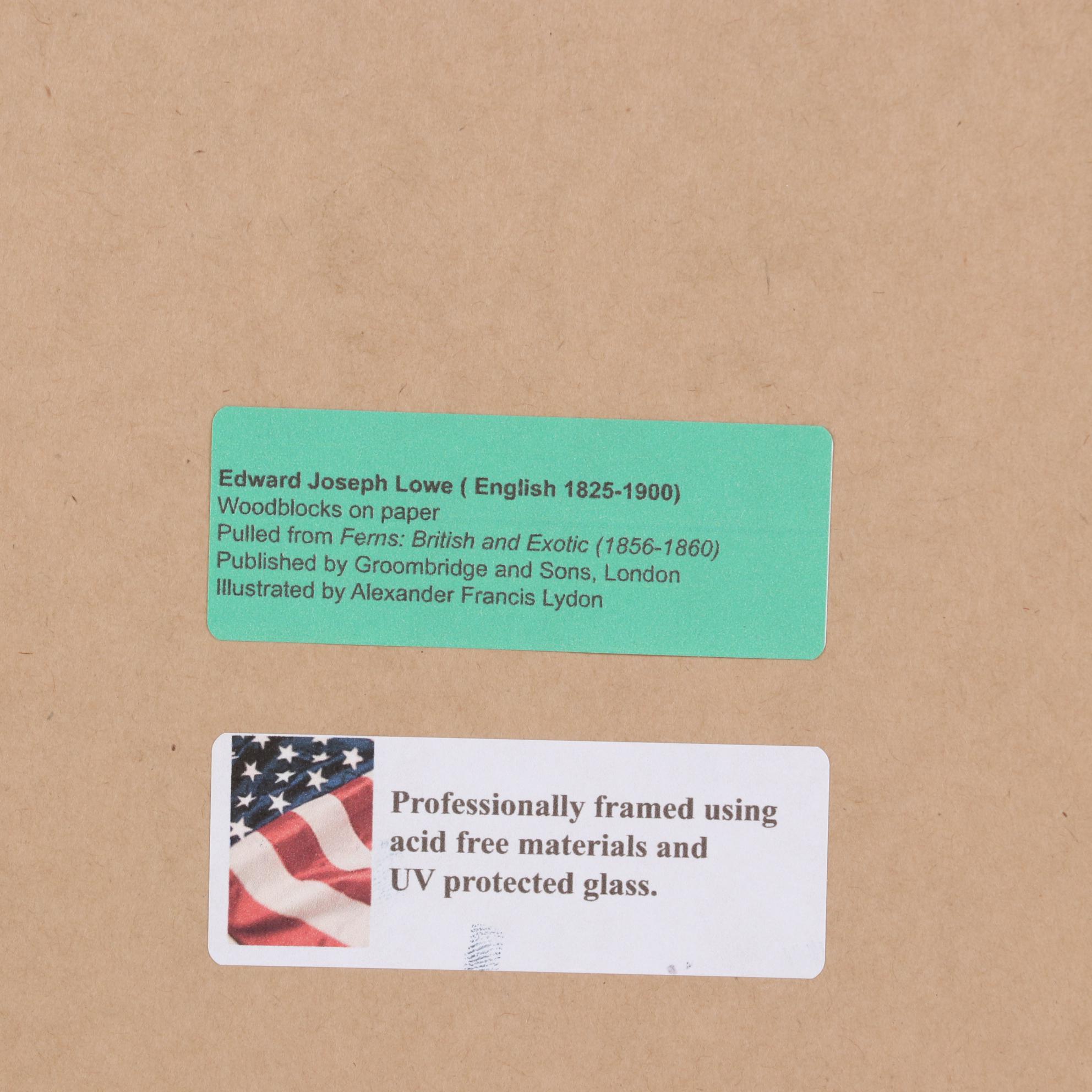 Edward Joseph Lowe and Alexander Francis Lydon Woodblocks, 1856-1860