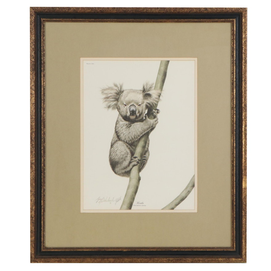 Guy Coheleach Offset Lithograph "Koala," Late 20th Century
