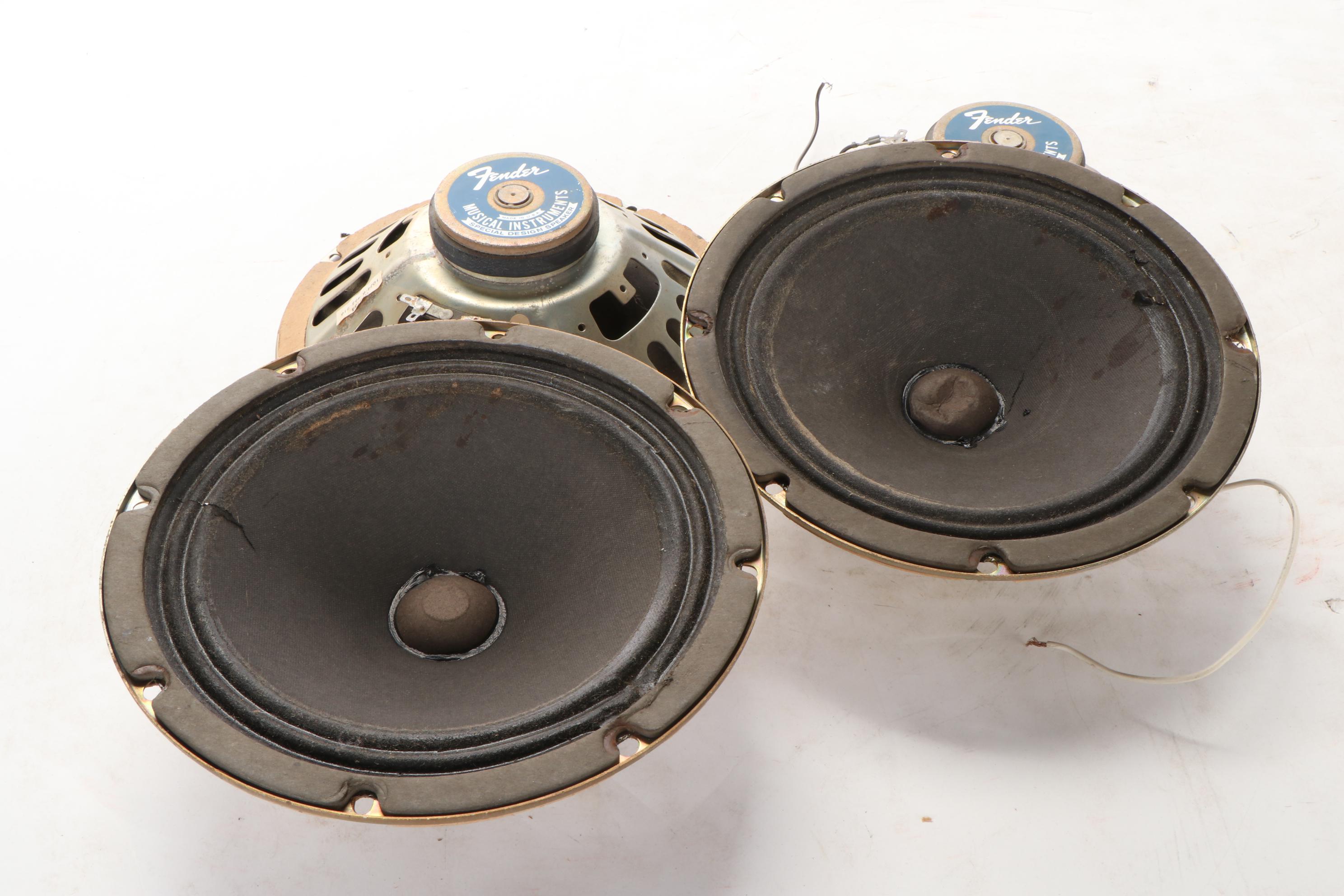 Fender Musical Instruments Special Design 10" Amplifier Speakers