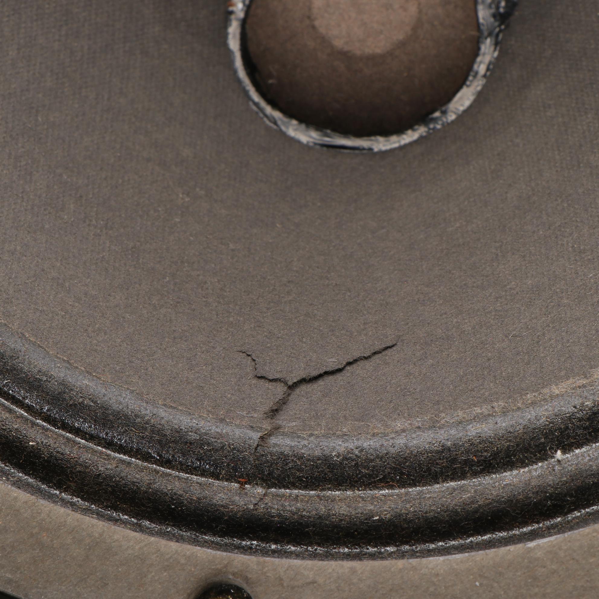 Fender Musical Instruments Special Design 10" Amplifier Speakers