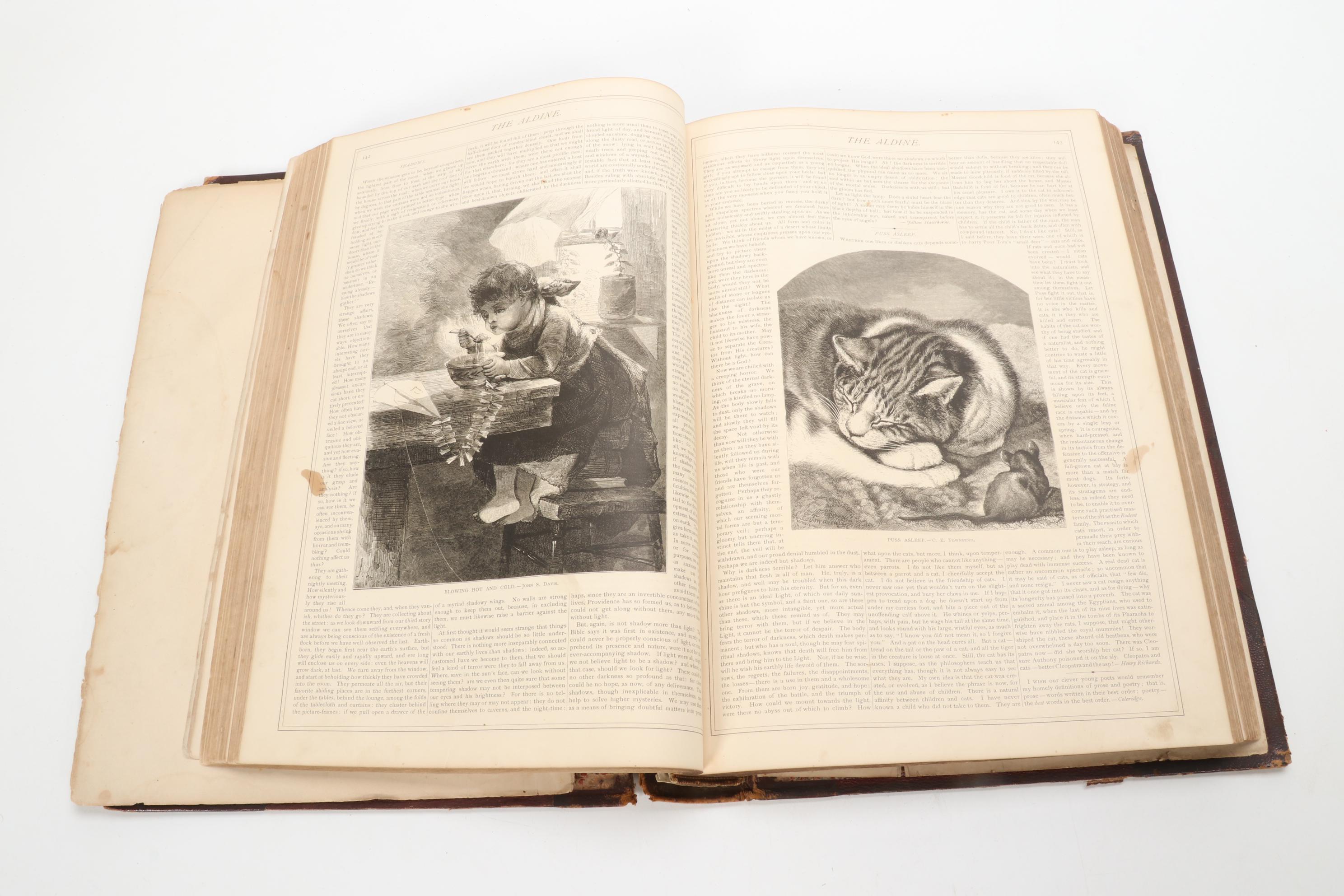 "The Aldine" Art Journal Bound Volumes V and VI, 1872–1873