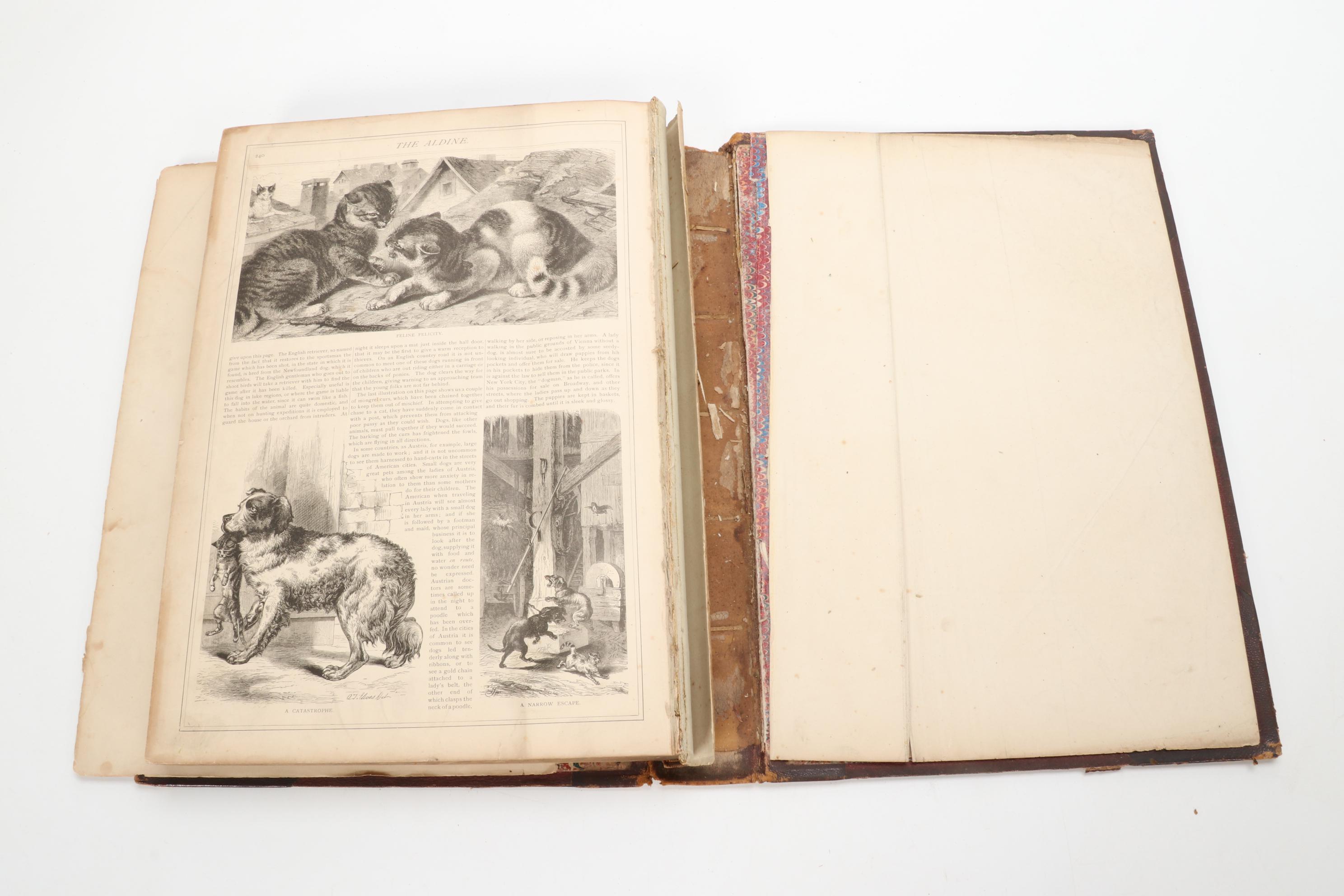 "The Aldine" Art Journal Bound Volumes V and VI, 1872–1873