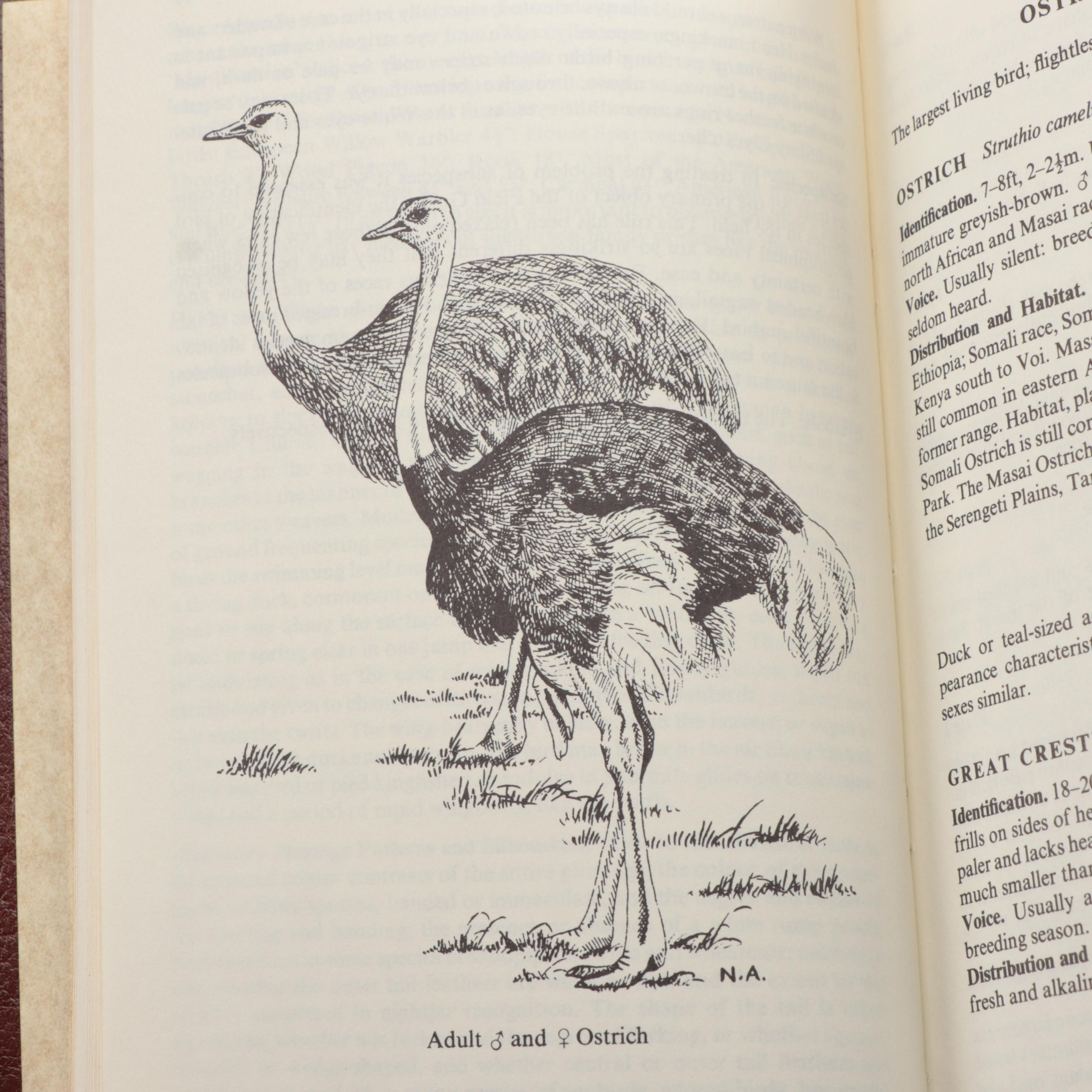 Easton Press Roger Tory Peterson Bird and Insect Field Guide Collection