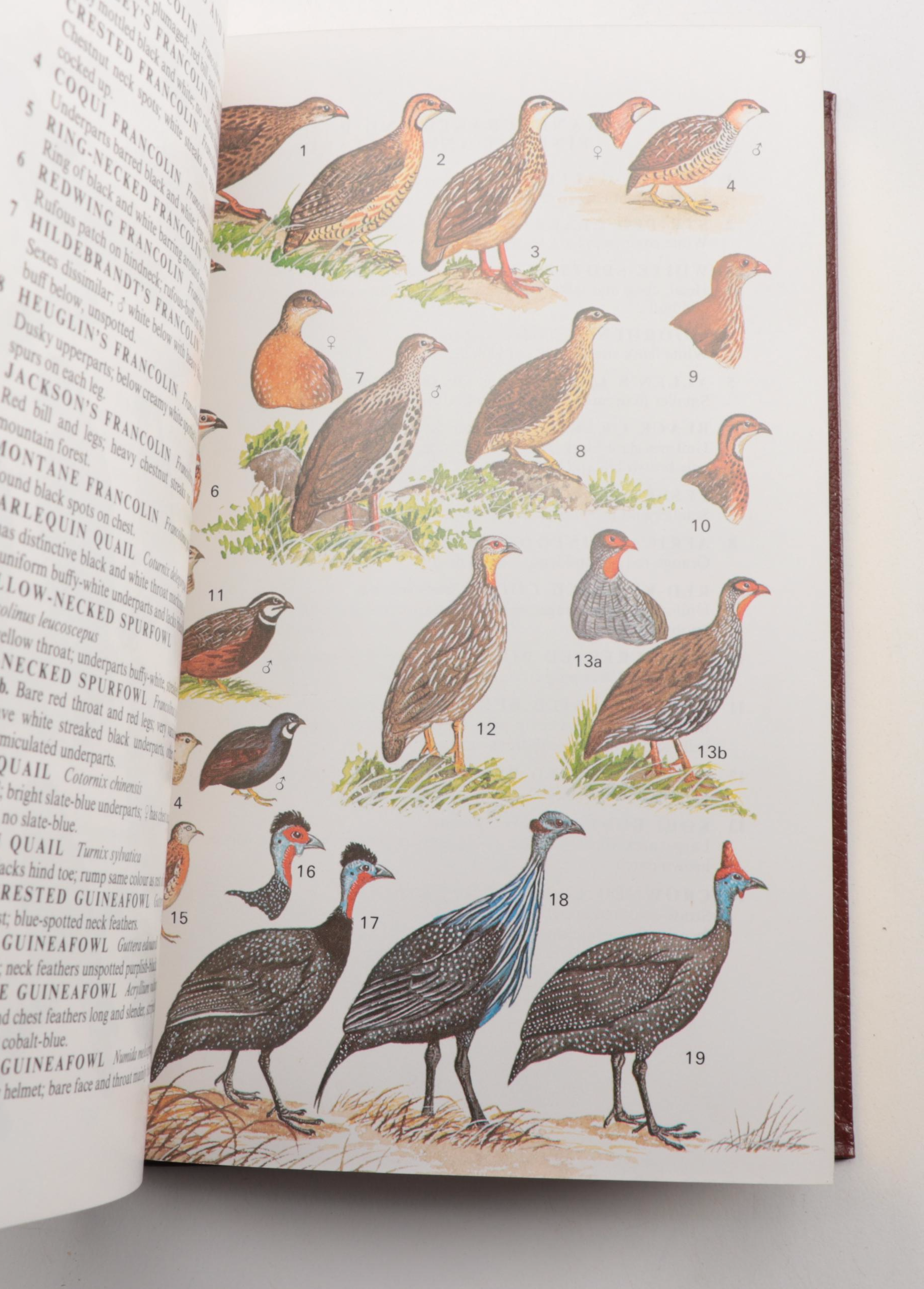 Easton Press Roger Tory Peterson Bird and Insect Field Guide Collection