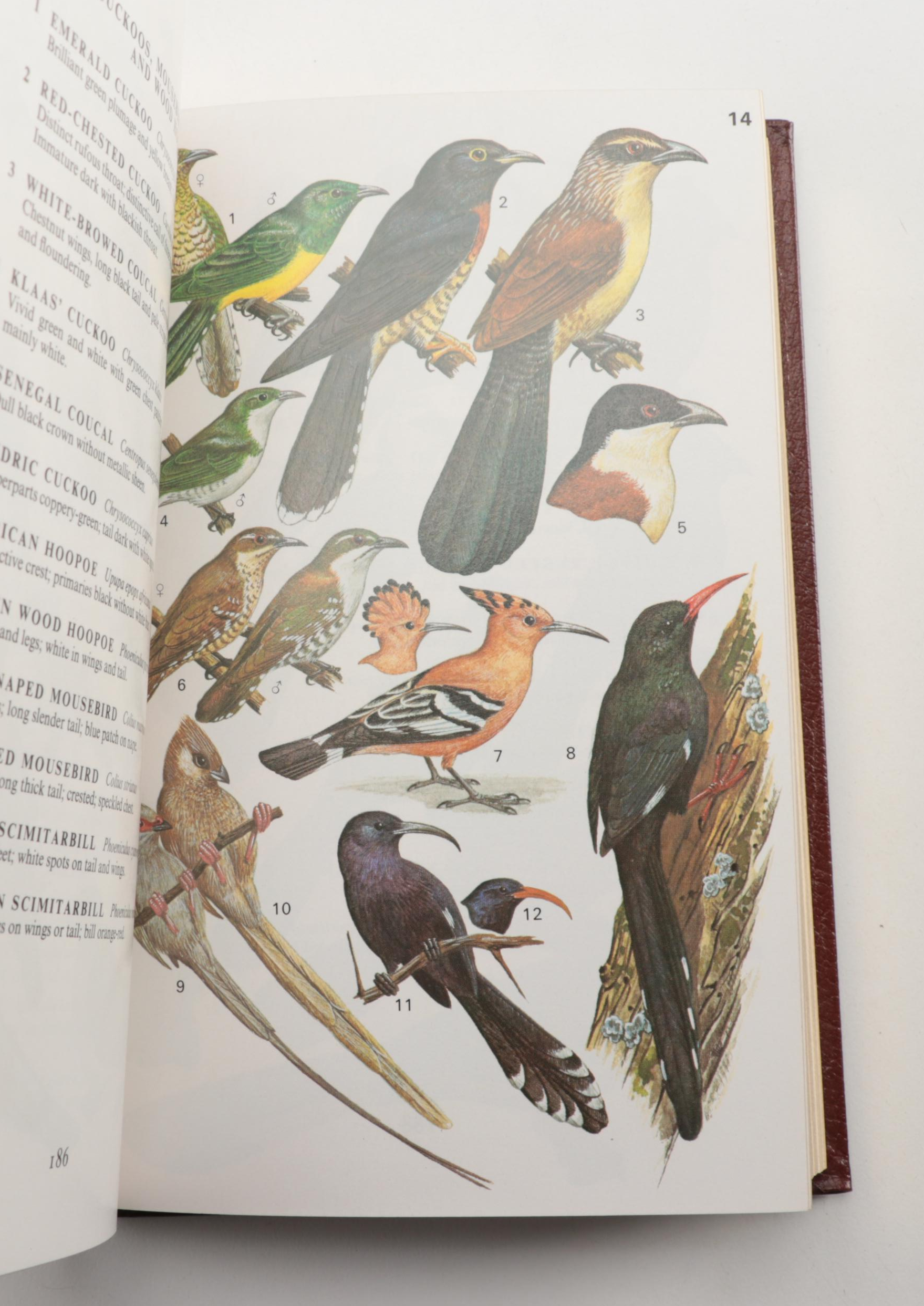 Easton Press Roger Tory Peterson Bird and Insect Field Guide Collection