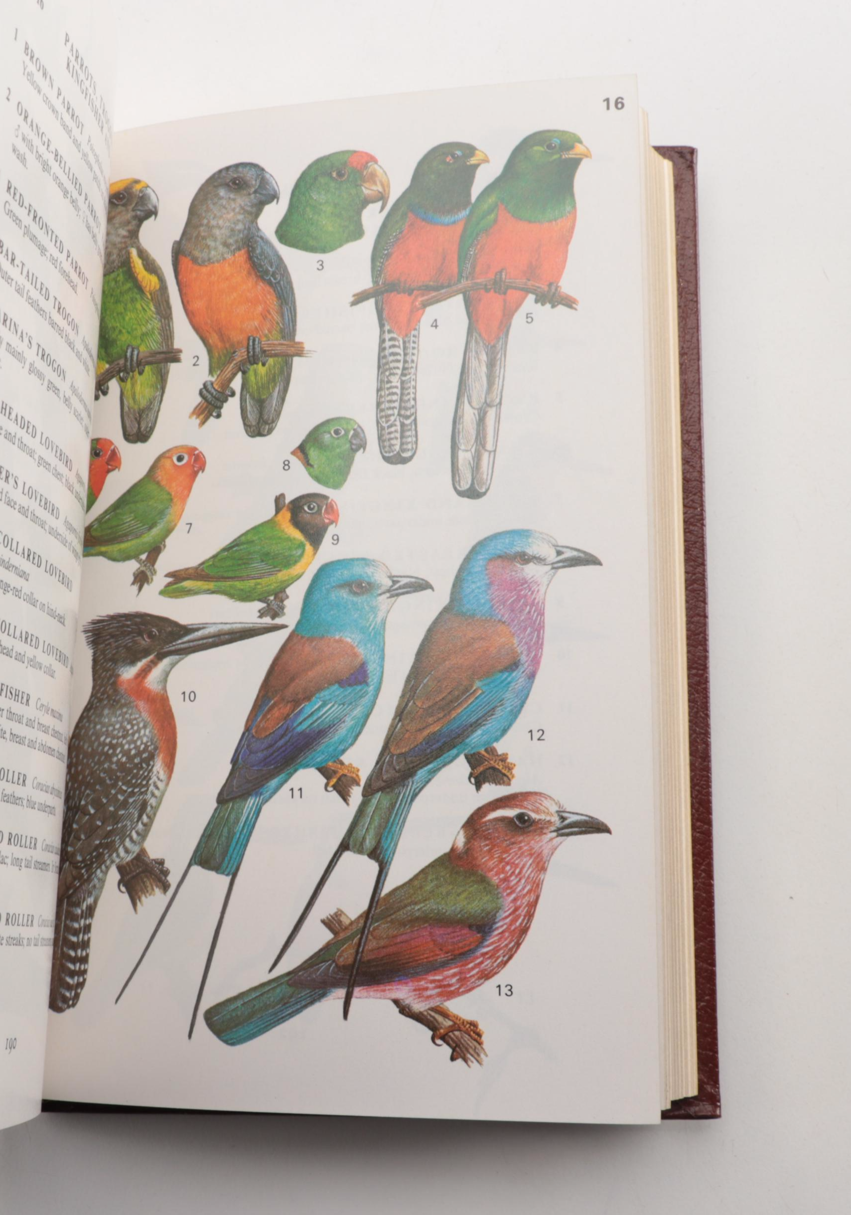 Easton Press Roger Tory Peterson Bird and Insect Field Guide Collection