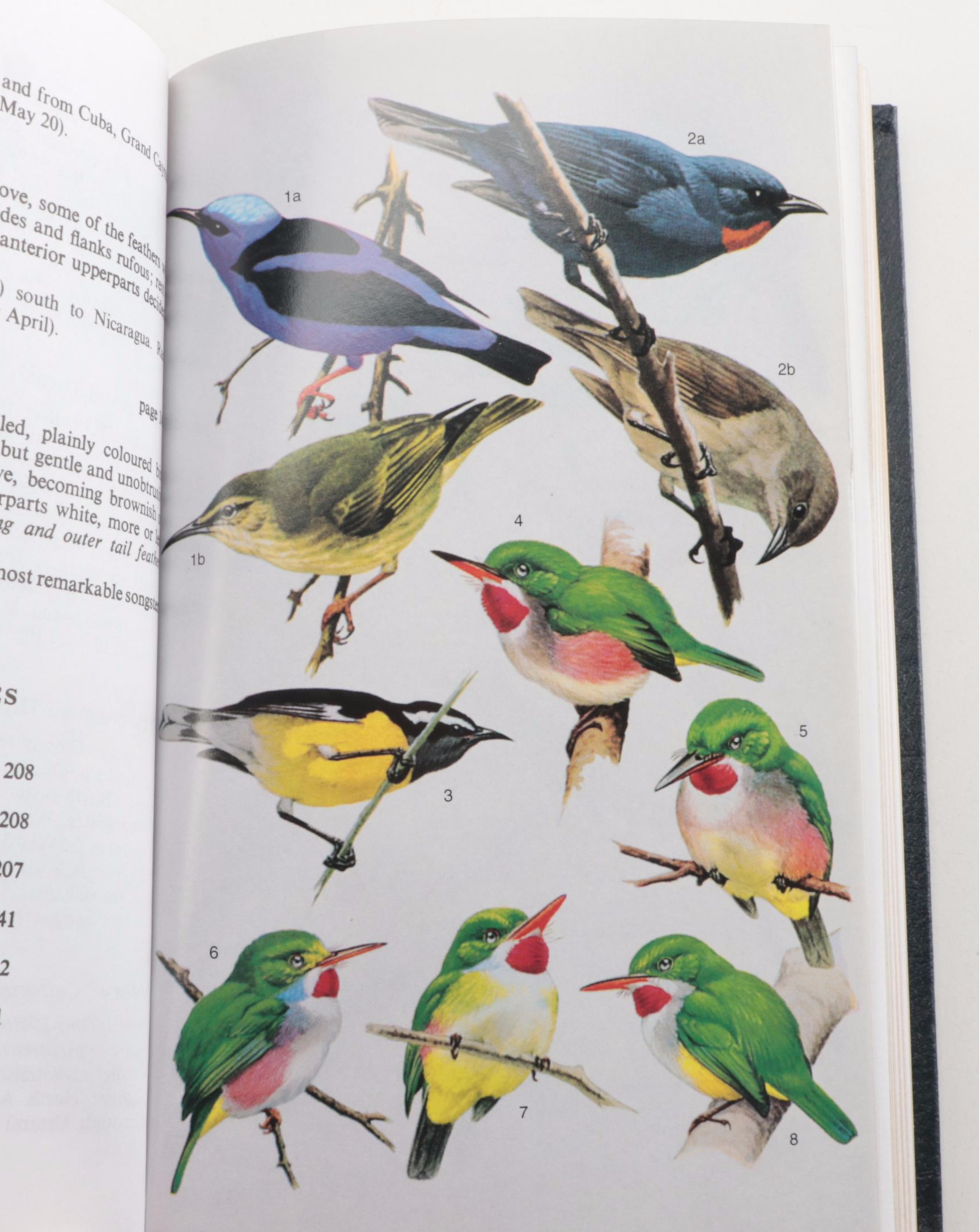 Easton Press Roger Tory Peterson Bird and Insect Field Guide Collection