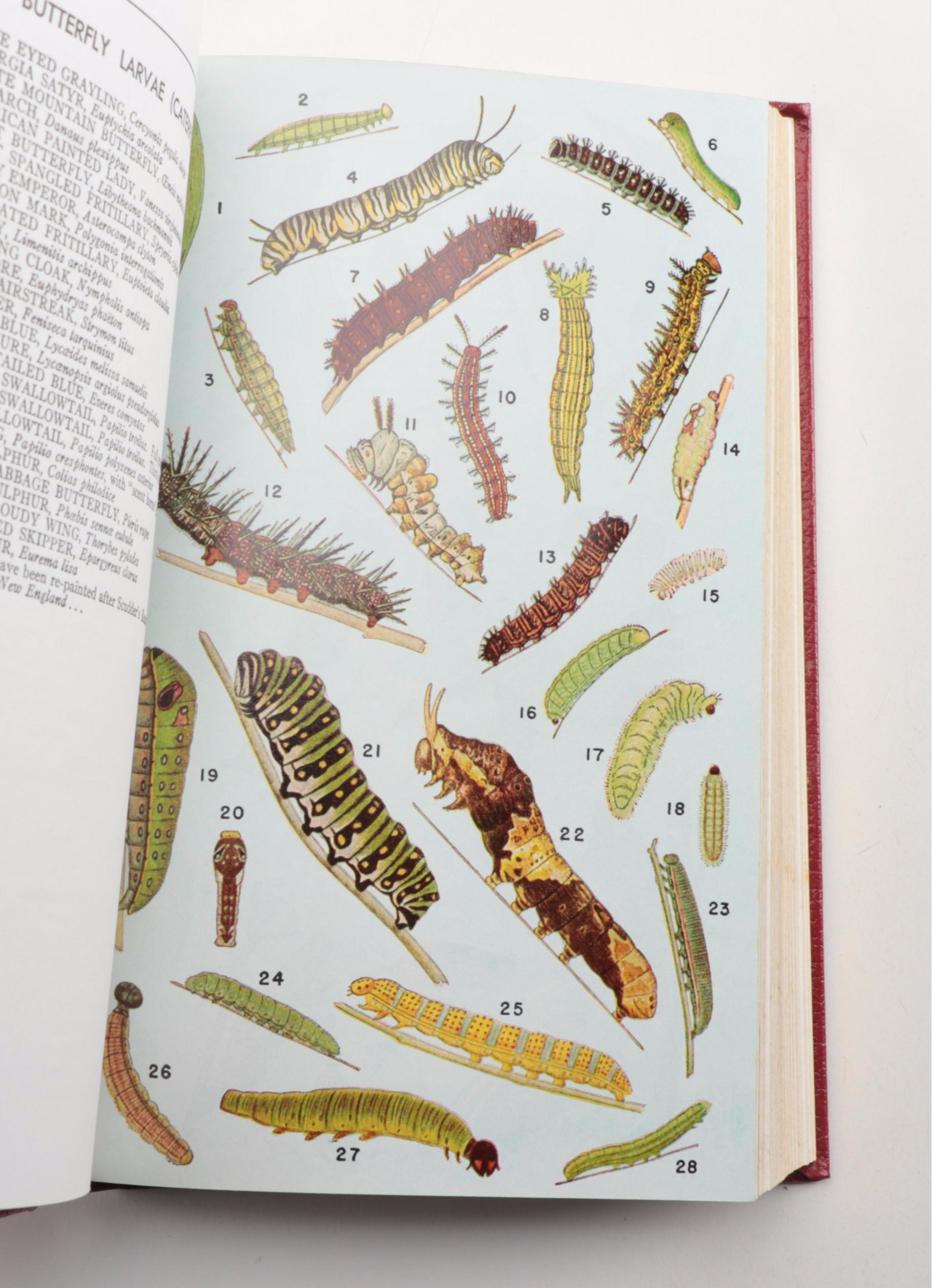 Easton Press Roger Tory Peterson Bird and Insect Field Guide Collection