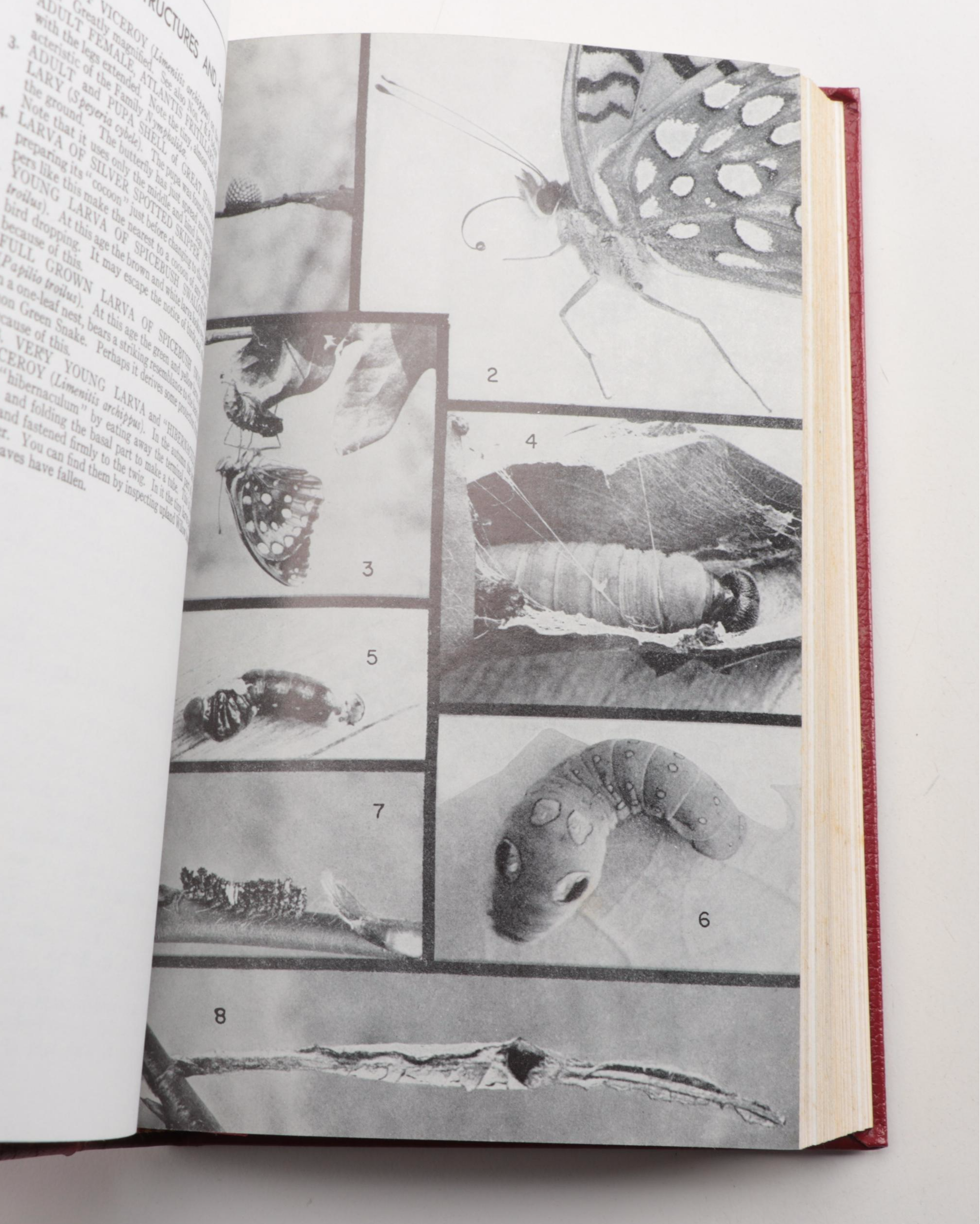 Easton Press Roger Tory Peterson Bird and Insect Field Guide Collection