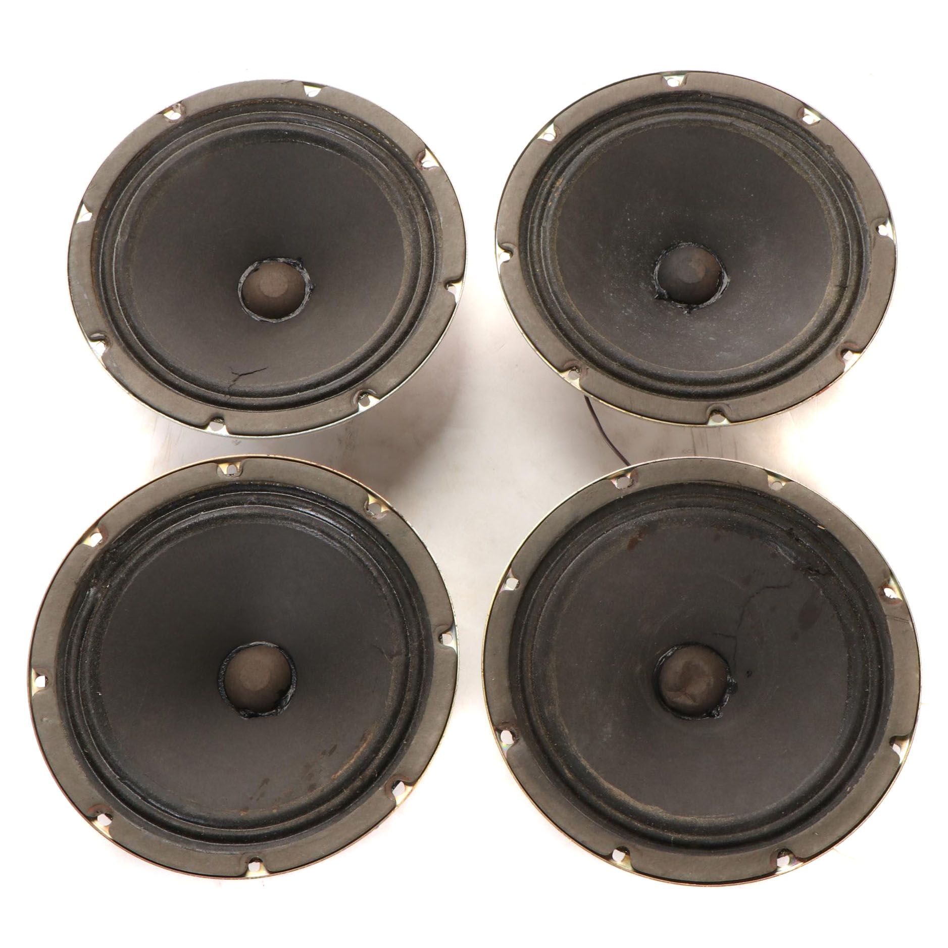 Fender Musical Instruments Special Design 10" Amplifier Speakers