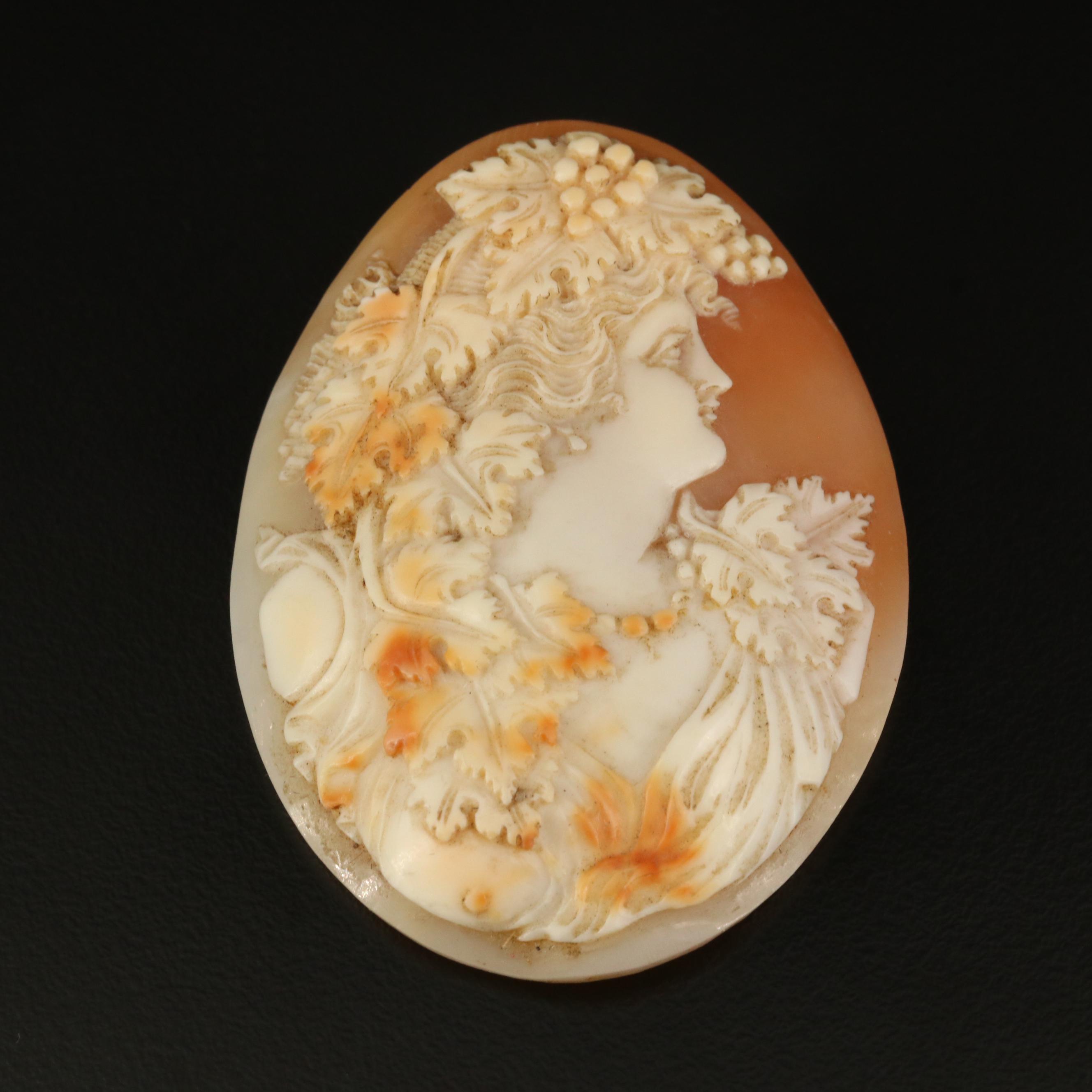 Loose Oval Shell Cameo