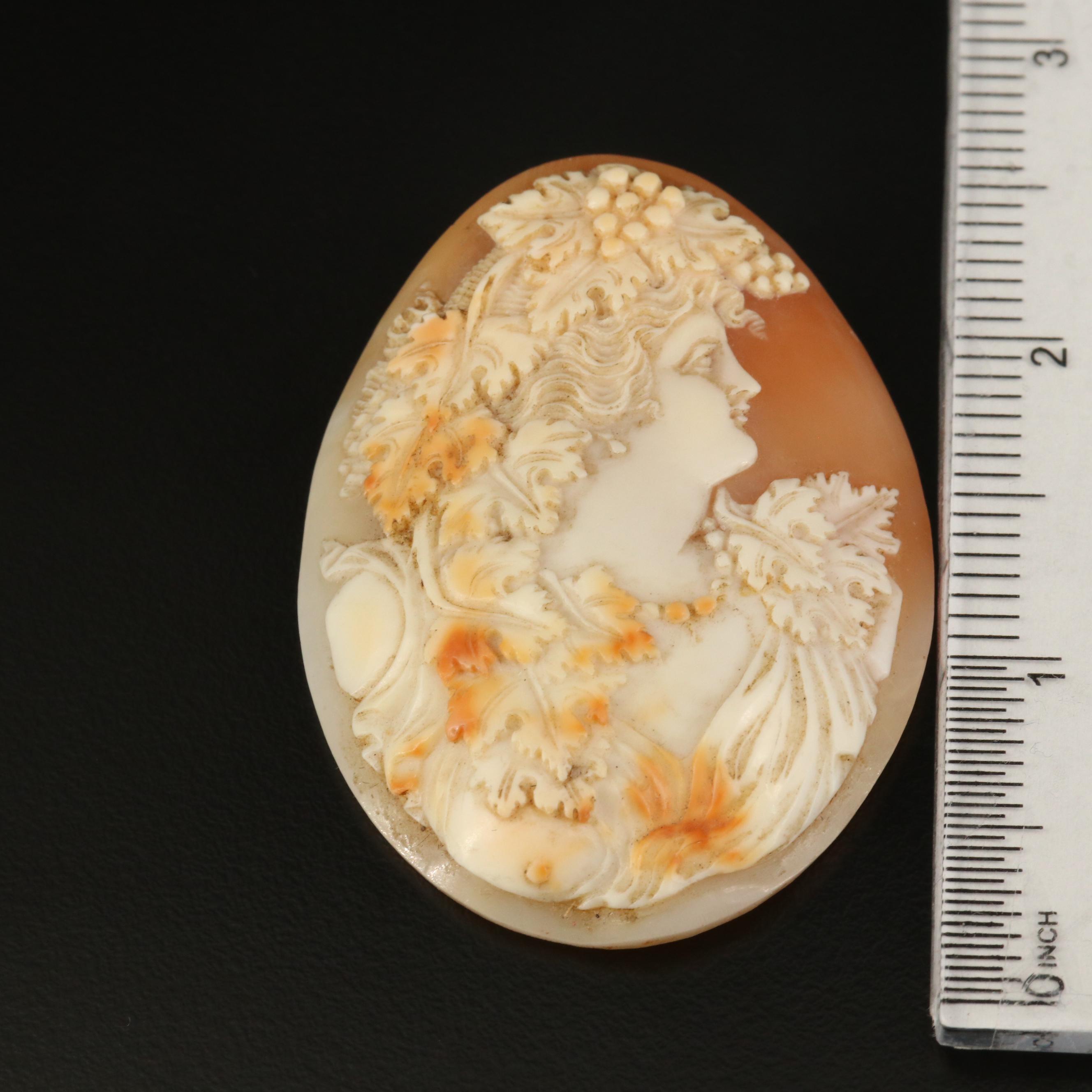 Loose Oval Shell Cameo