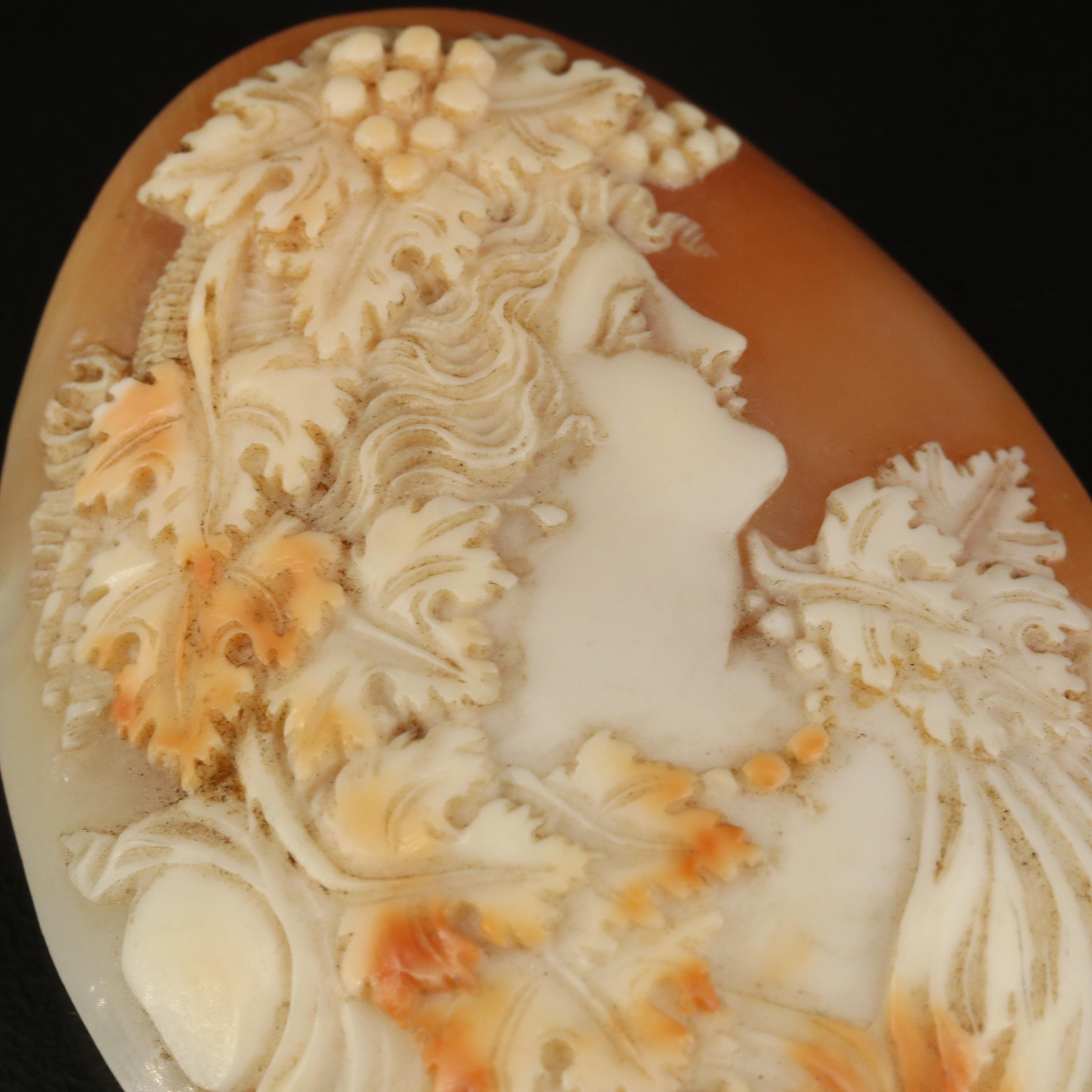 Loose Oval Shell Cameo