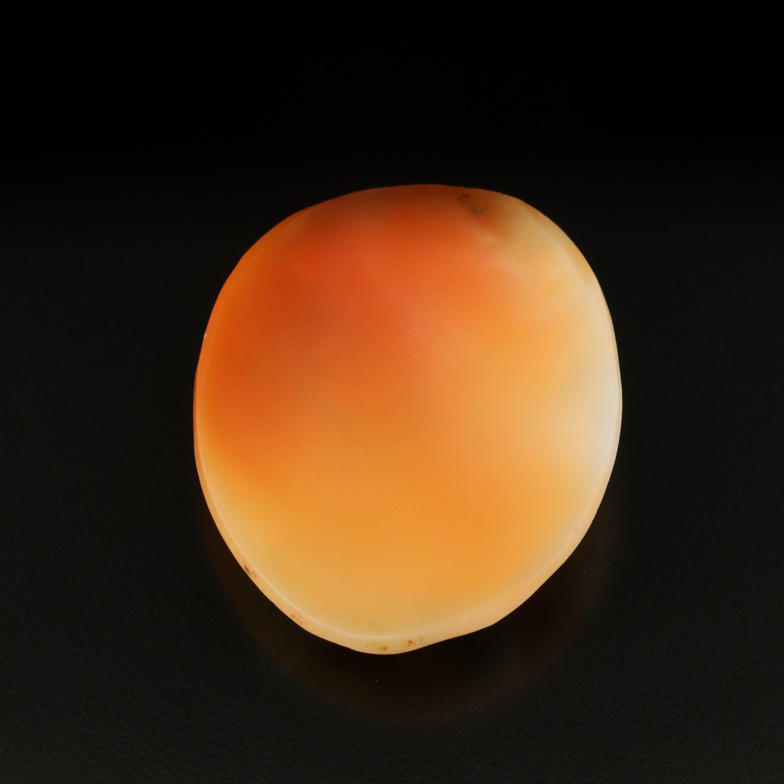 Loose Oval Shell Cameo