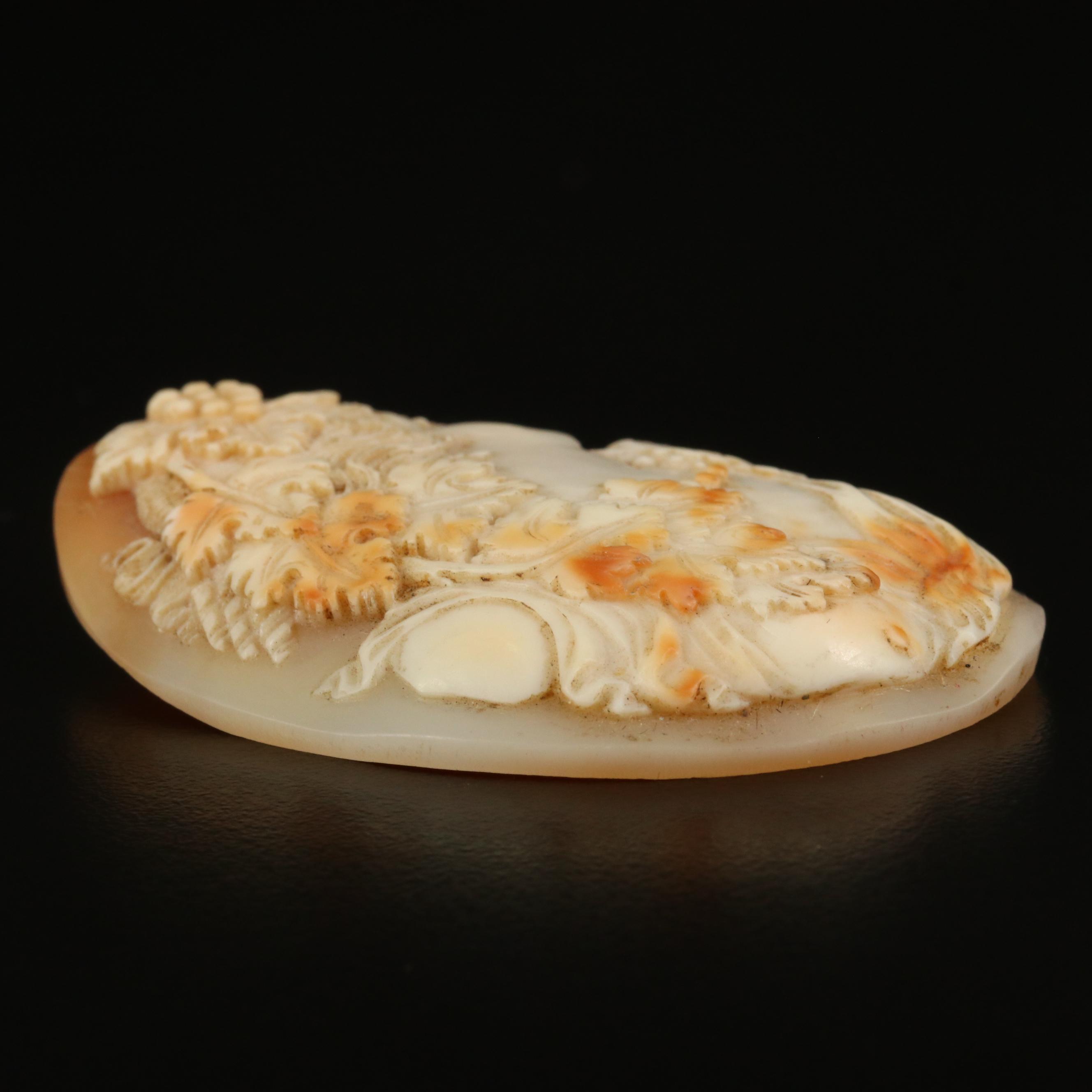 Loose Oval Shell Cameo