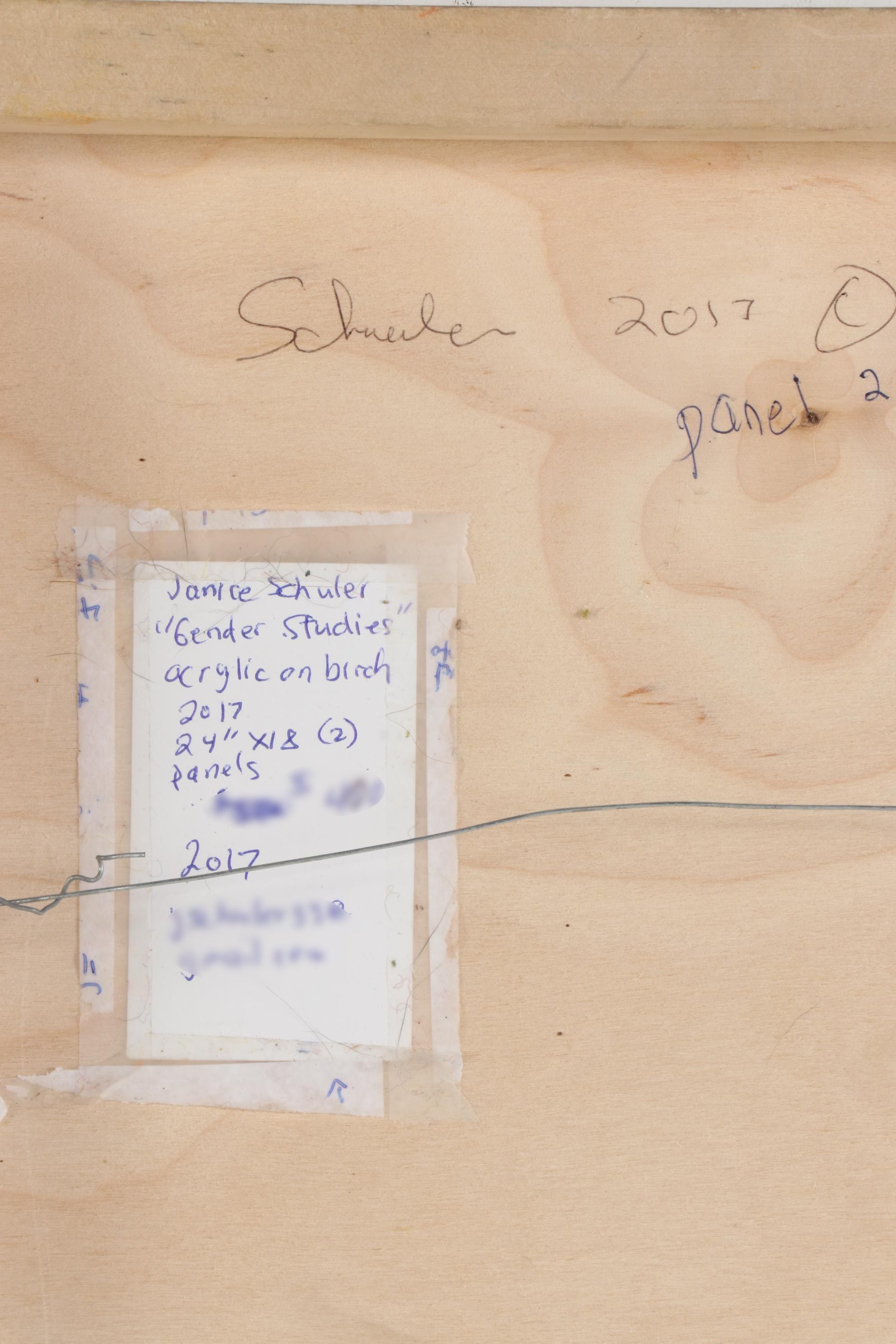 Janice Schuler Abstract Acrylic Painting "Gender Studies," 2017