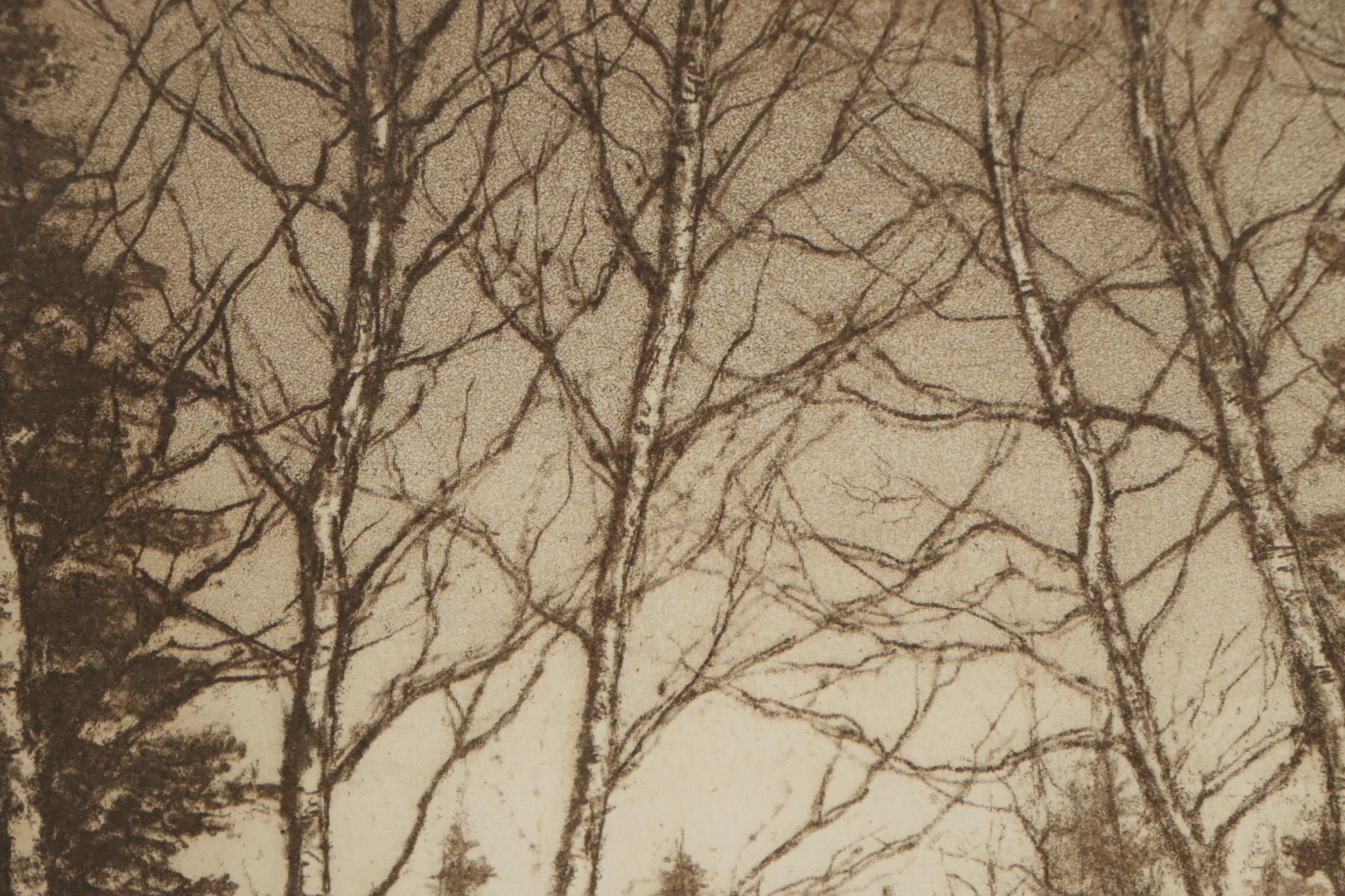 Edward T. Hurley Aquatint and Mezzotint "Pines and Birches," Early 20th Century