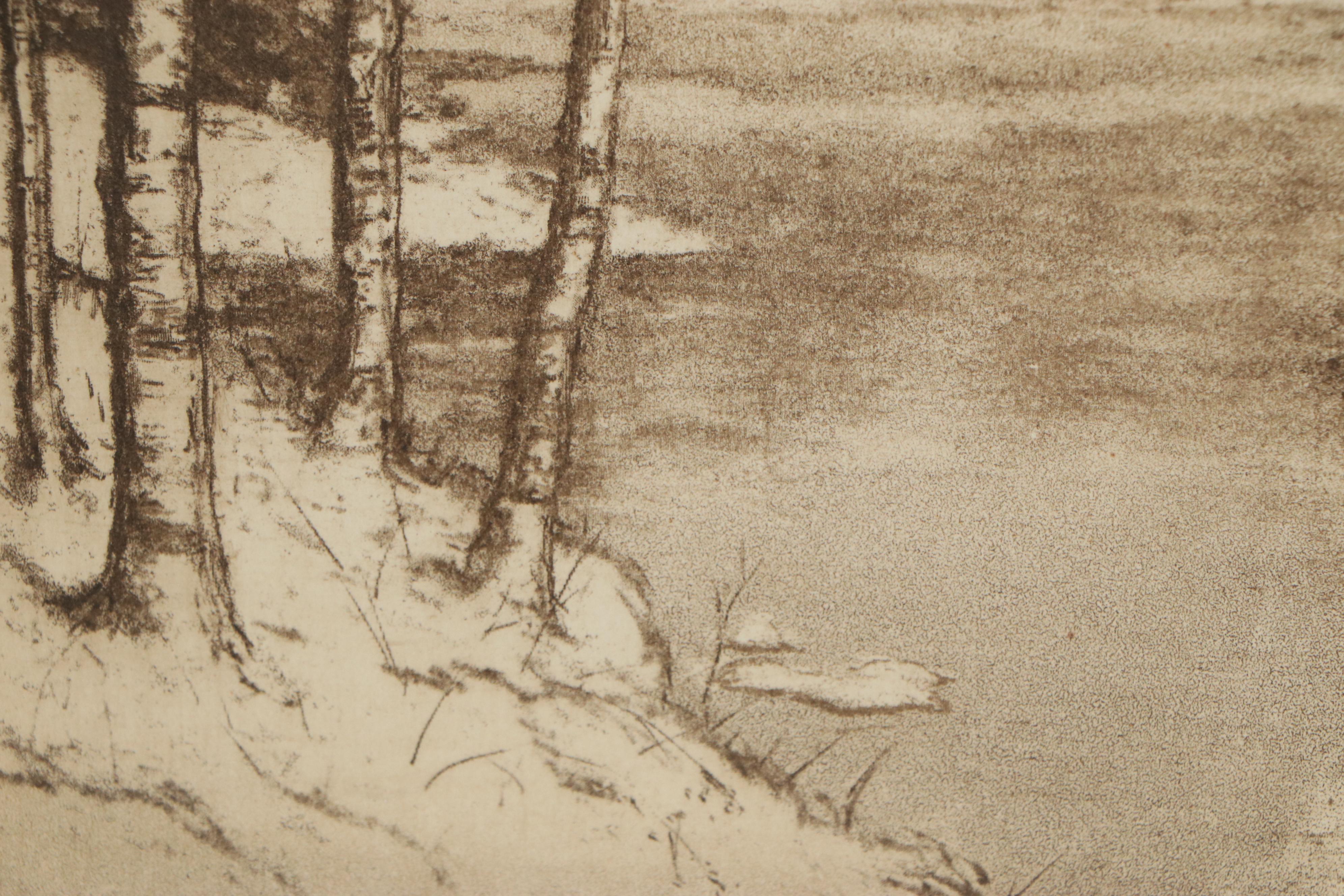 Edward T. Hurley Aquatint and Mezzotint "Pines and Birches," Early 20th Century