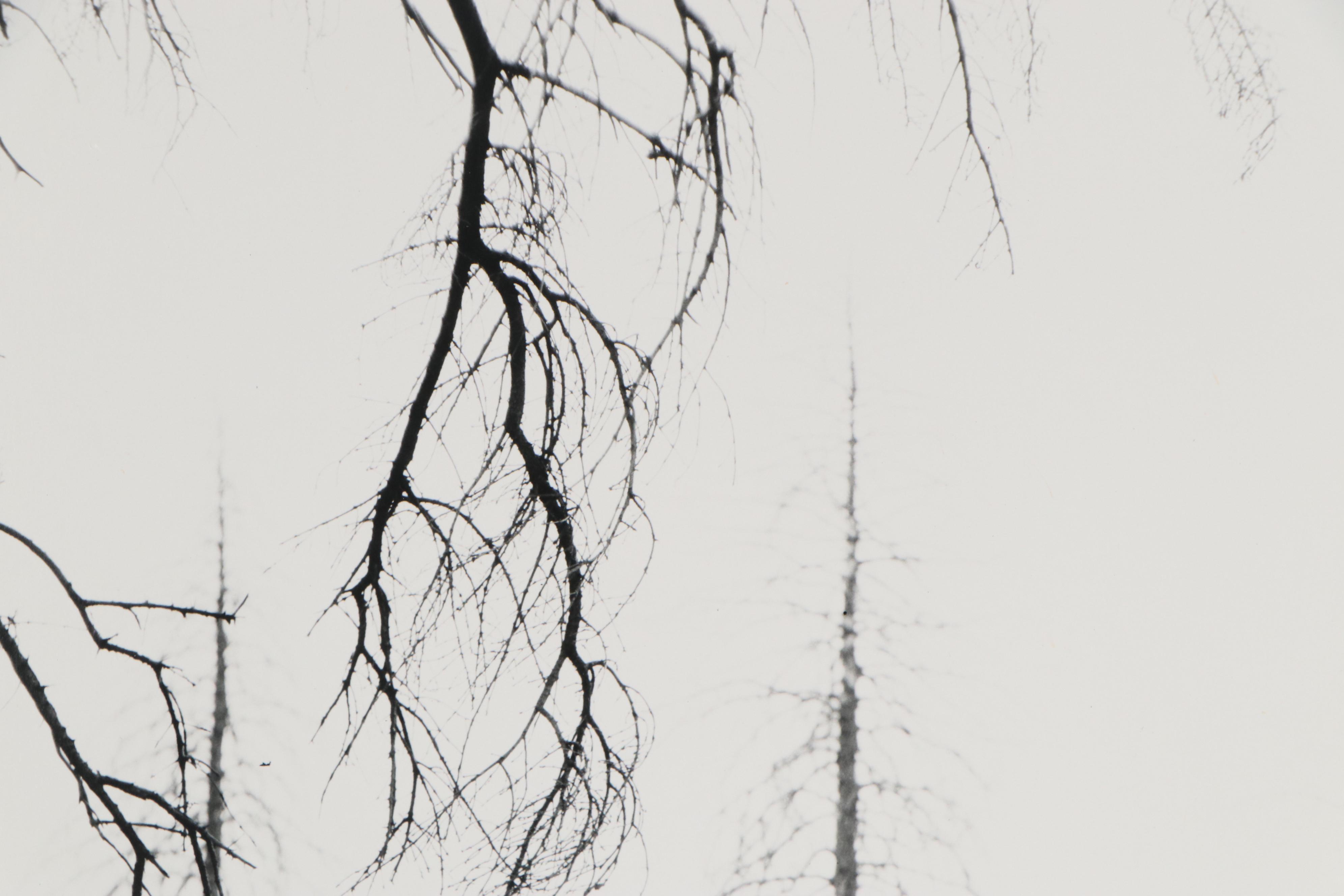 Winter Phillips Prather Silver Gelatin Photograph and Photography Book