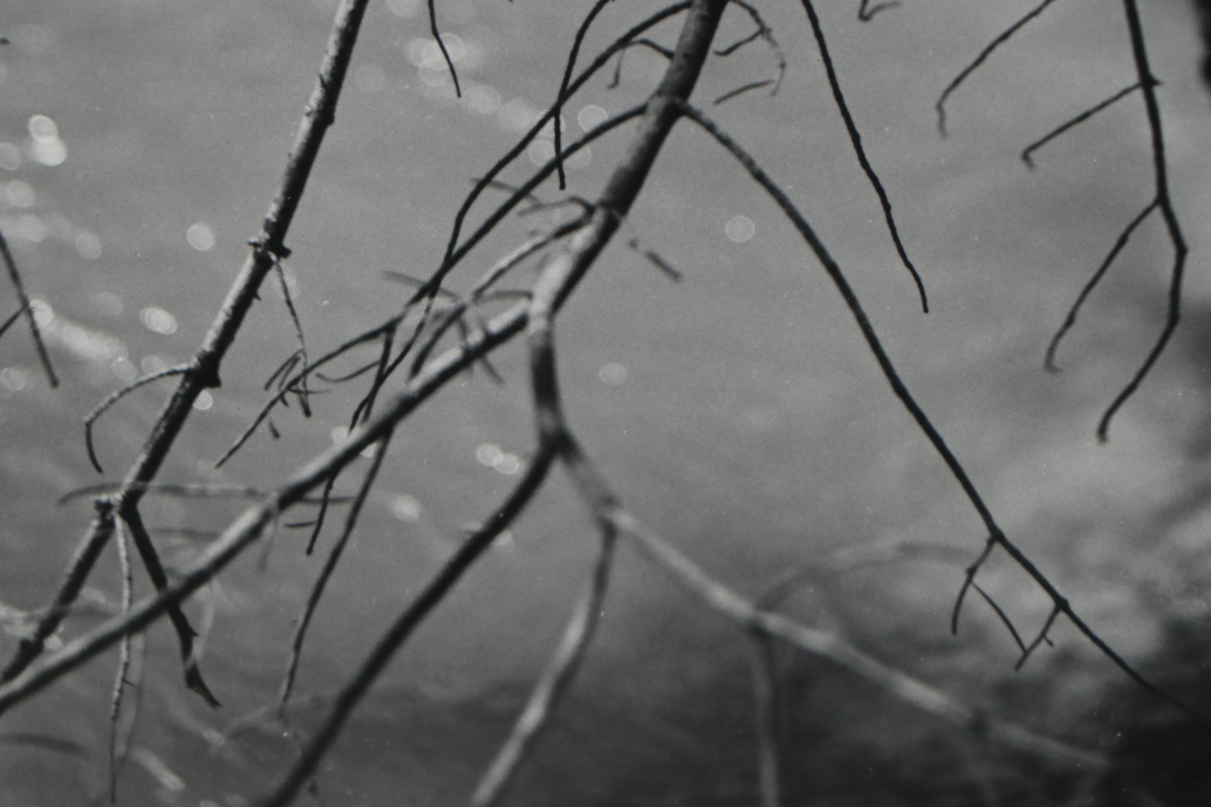 Winter Phillips Prather Silver Gelatin Photograph and Photography Book