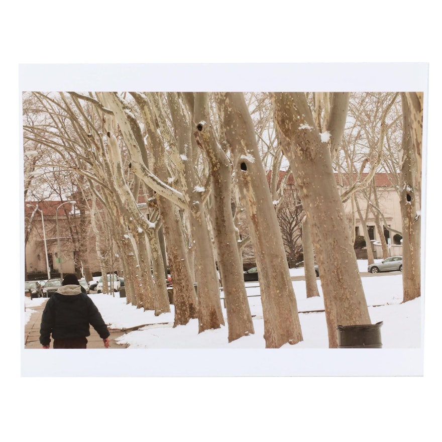 Lee Kim Color Photograph "Trees Outside of Carnegie Library in Winter," 2011