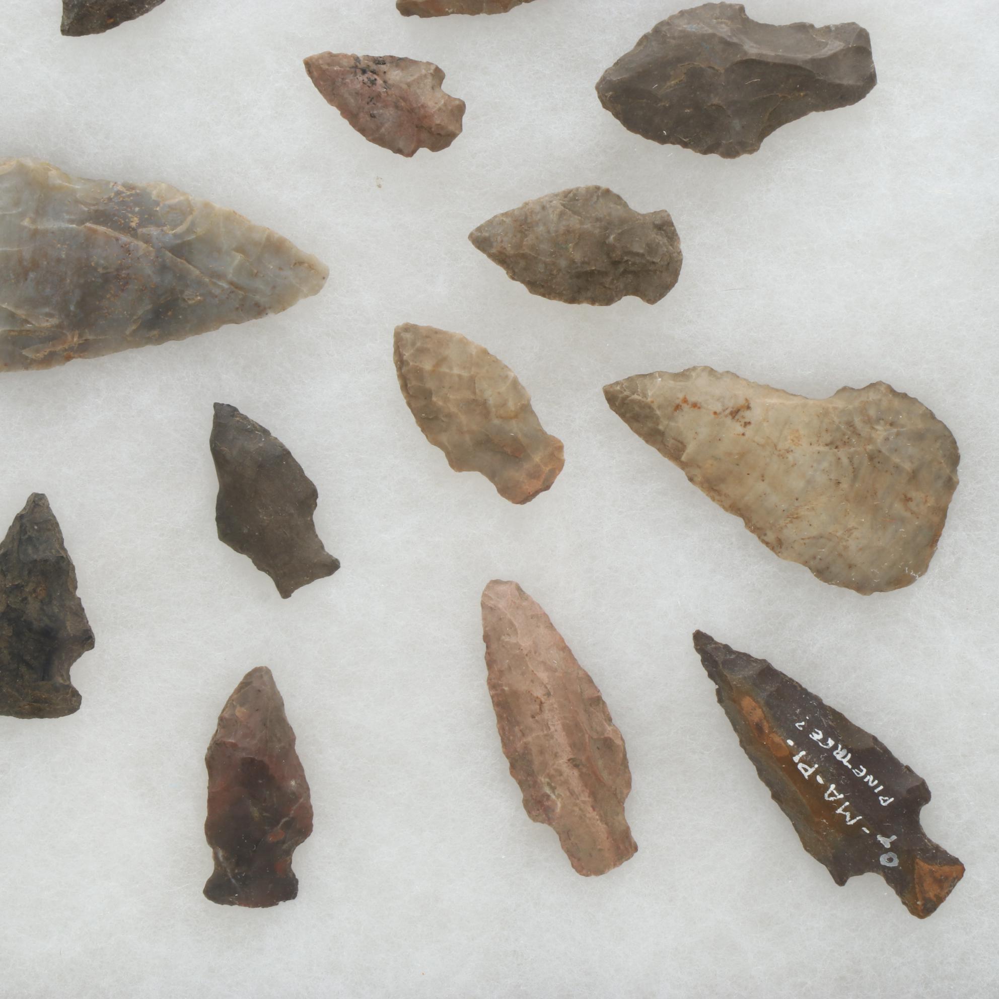 Knapped Stone Projectile Points
