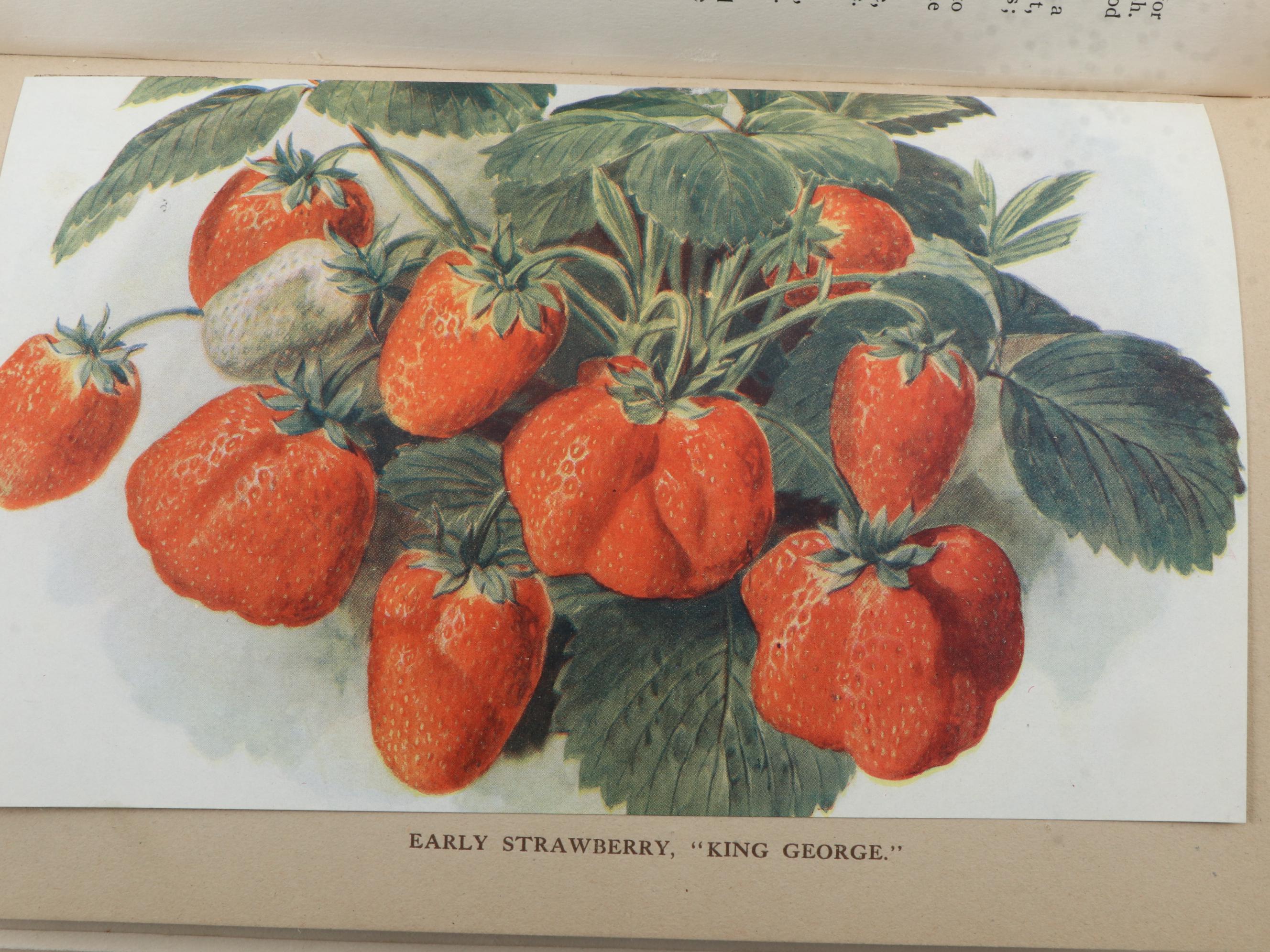 "Fruit Growing for Amateurs" by H. H. Thomas and More Cultivation Books