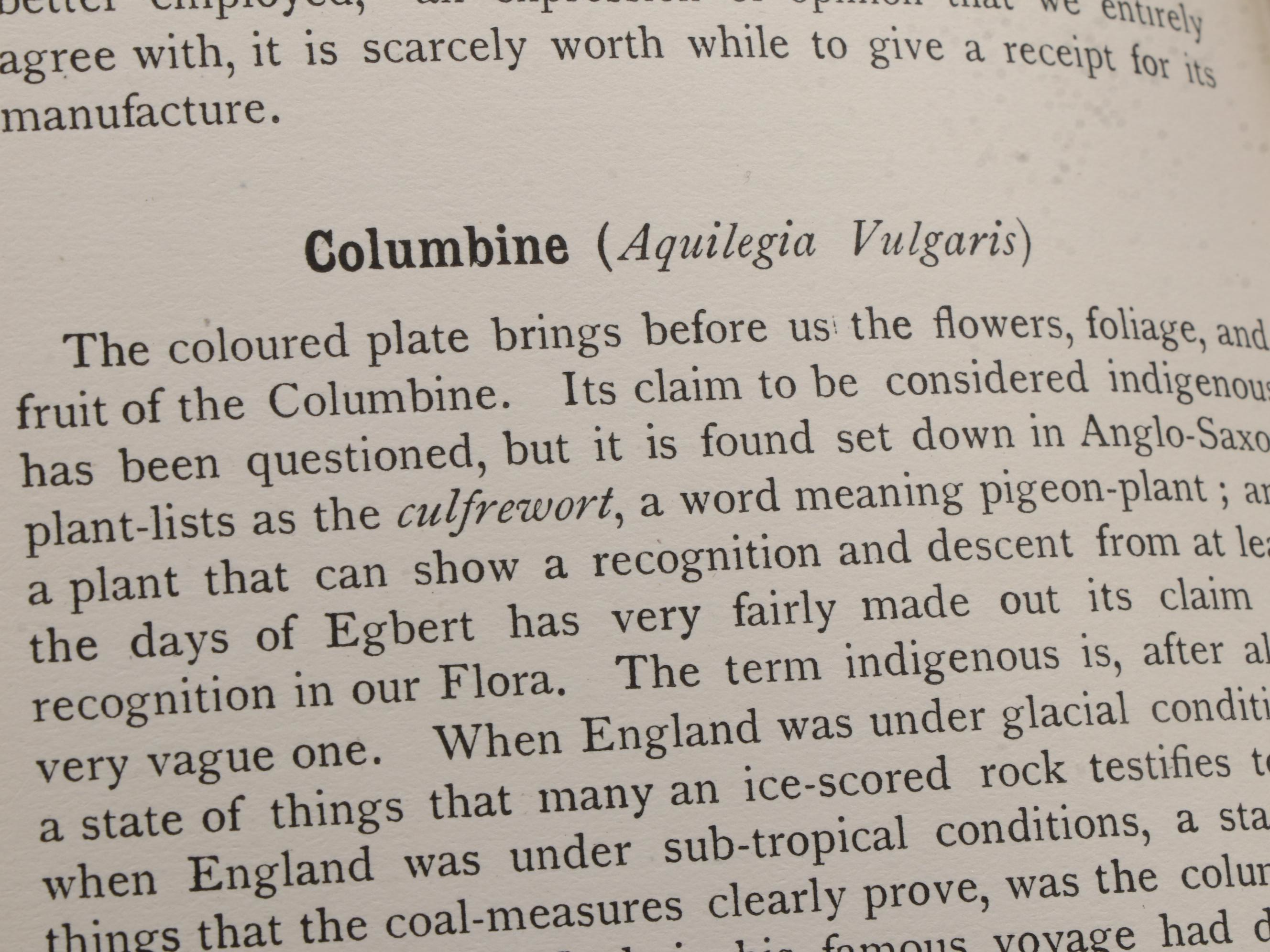 "Fruit Growing for Amateurs" by H. H. Thomas and More Cultivation Books