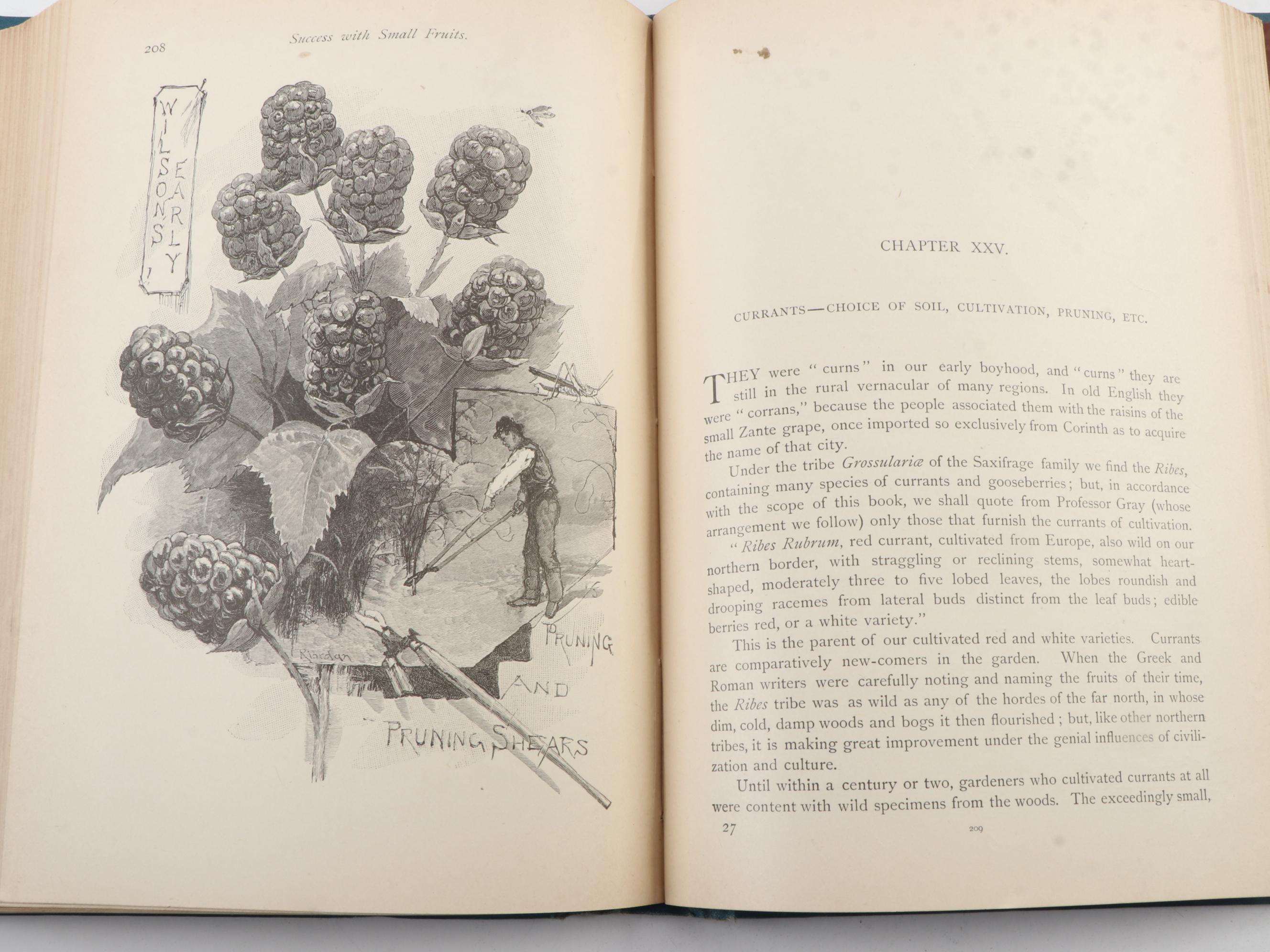 "Fruit Growing for Amateurs" by H. H. Thomas and More Cultivation Books