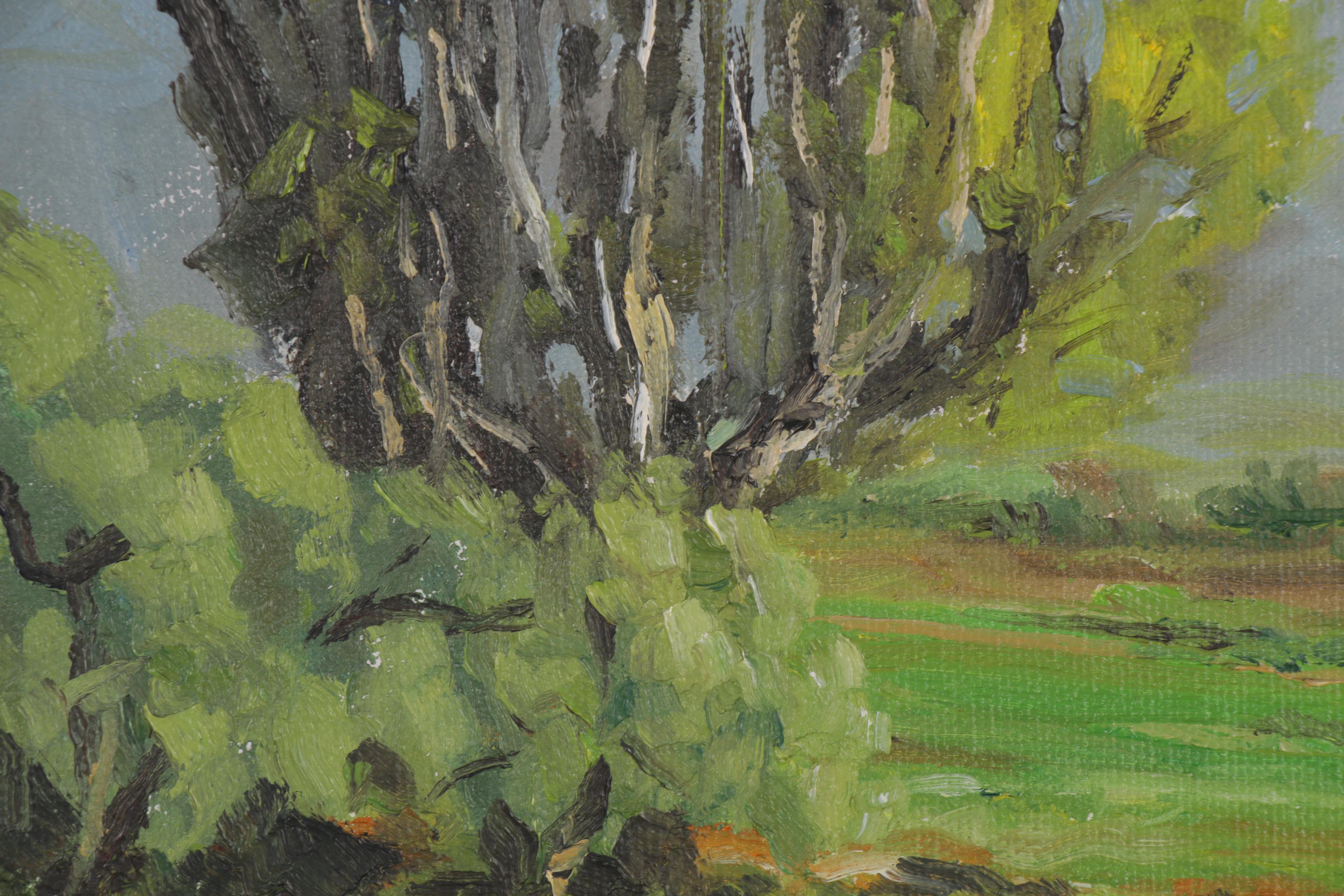 Sean McMills Oil Painting "View from San Pasqual Battlefield"