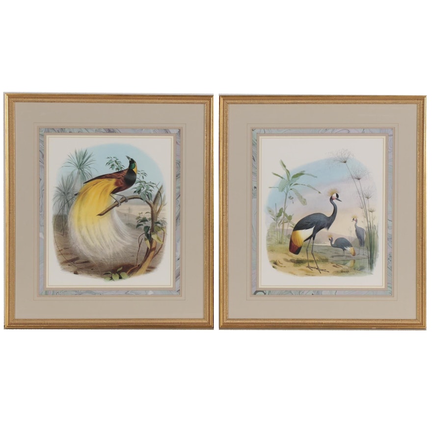 Offset Lithographs of Exotic Birds, 21st Century