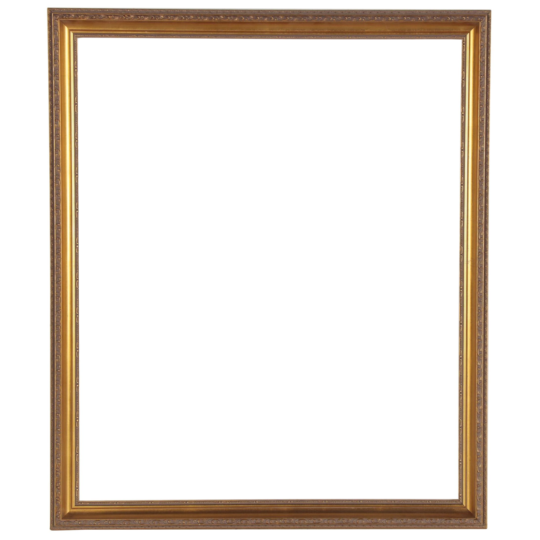 Larson Juhl Brand Neoclassical Style Gold Toned Frame