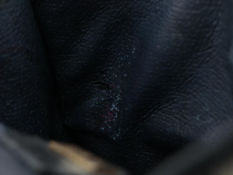 Gucci Navy Blue GG Supreme Canvas Document Holder