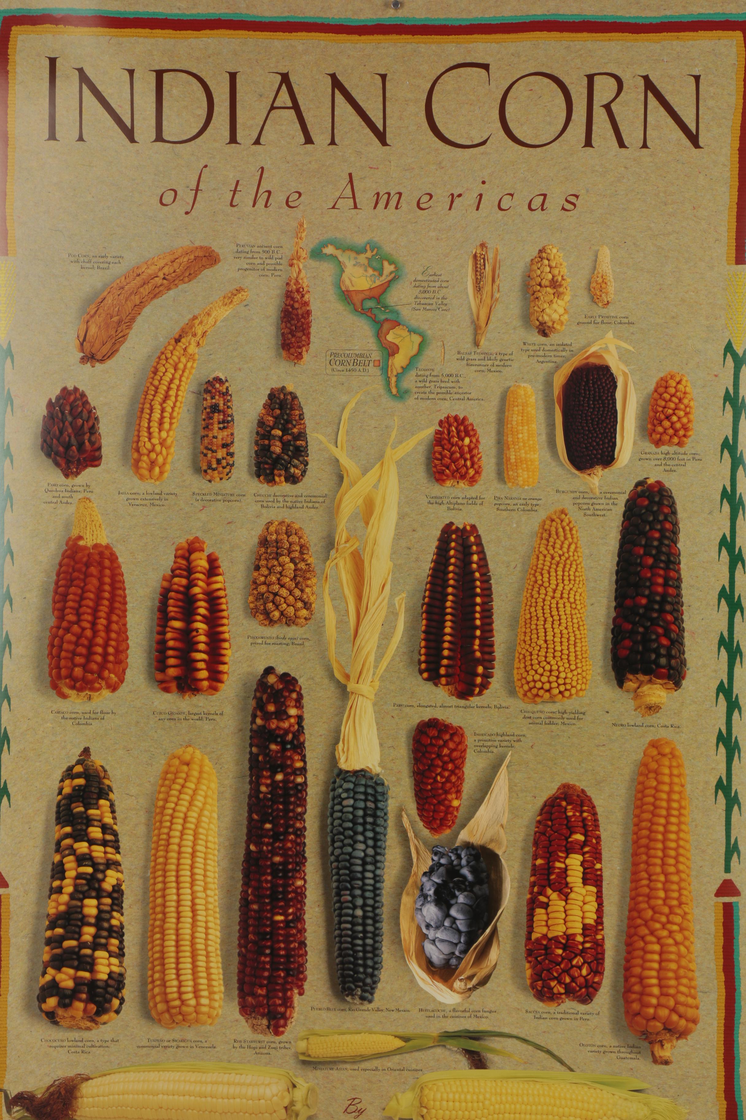 Digital Prints after Mark Miller "Indian Corn" and "Squash," 21st Century