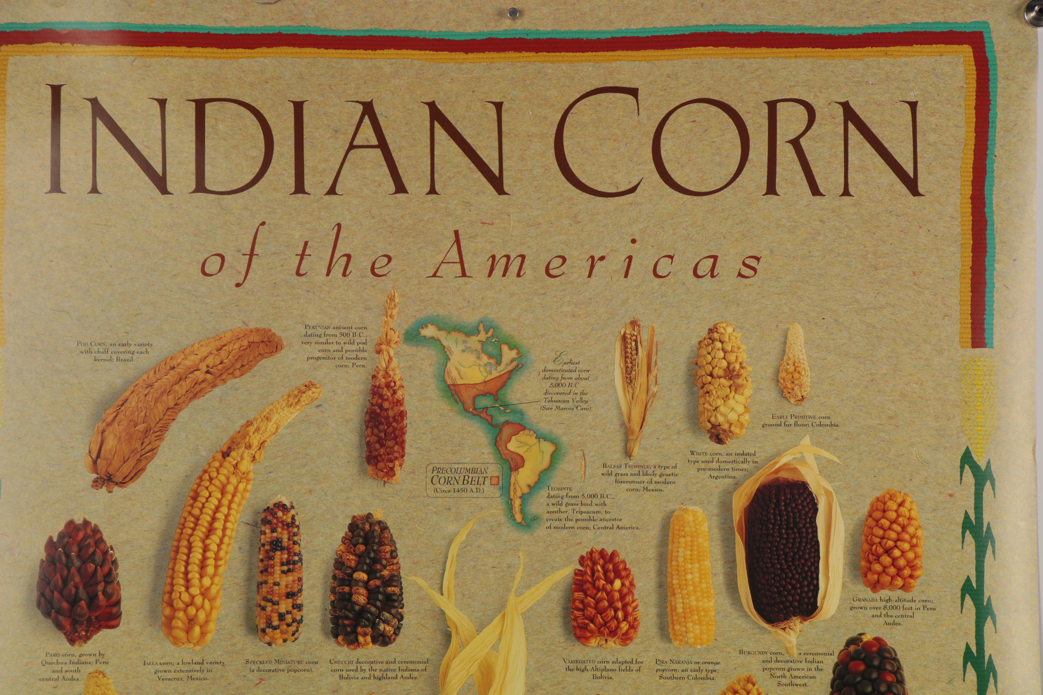 Digital Prints after Mark Miller "Indian Corn" and "Squash," 21st Century