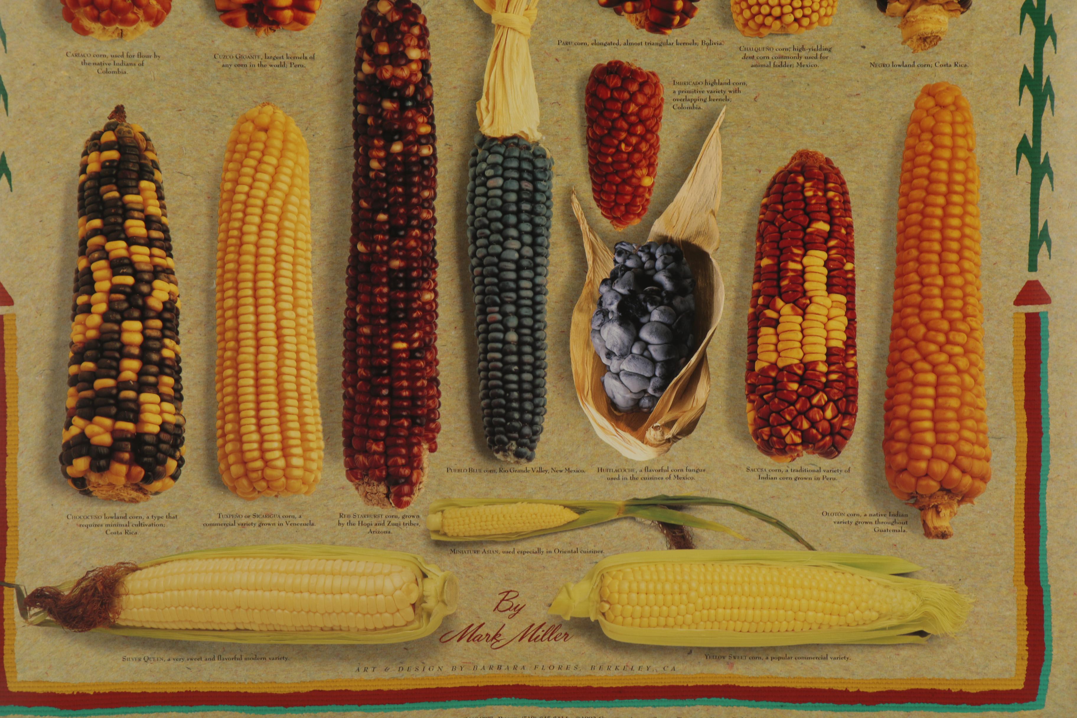 Digital Prints after Mark Miller "Indian Corn" and "Squash," 21st Century
