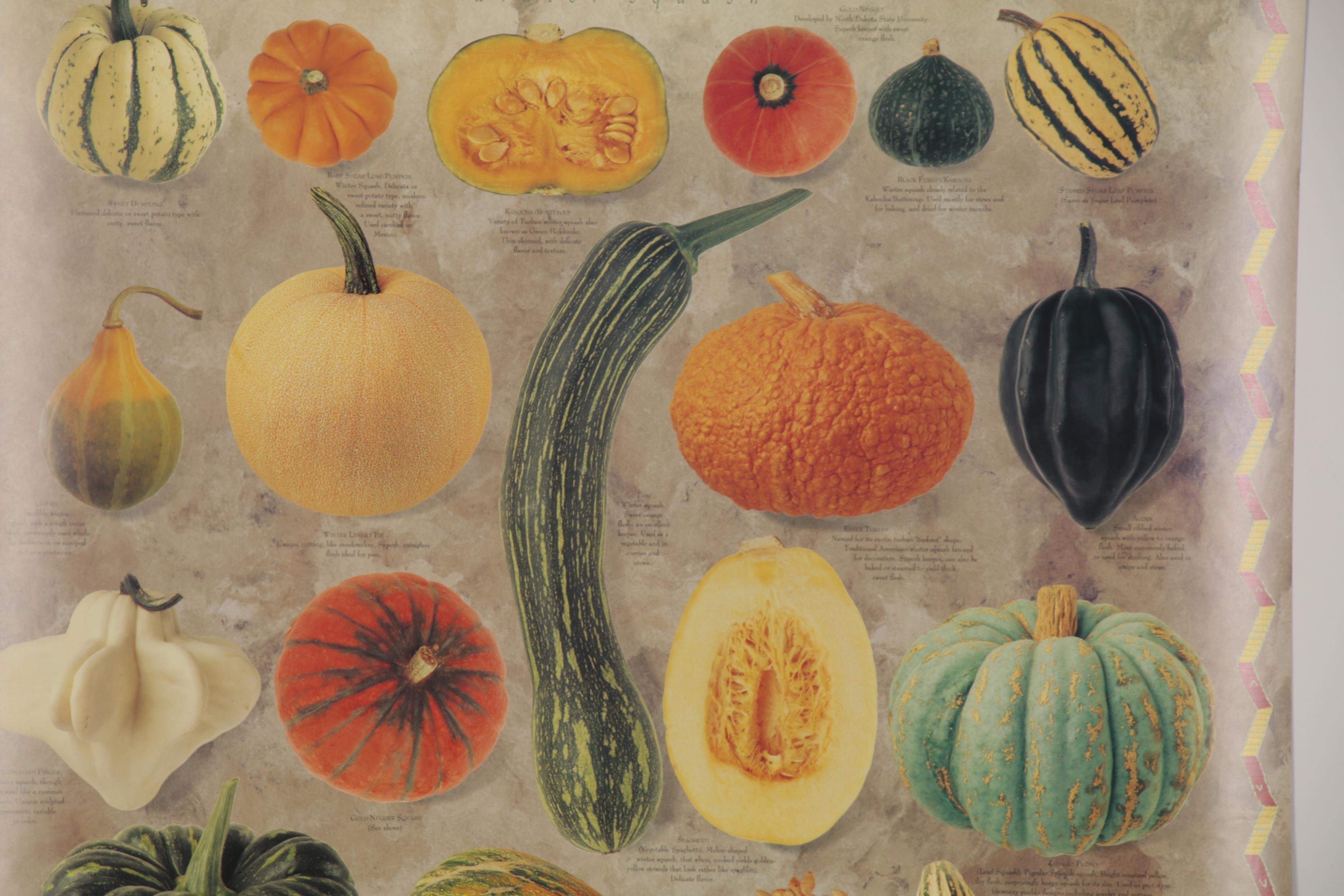 Digital Prints after Mark Miller "Indian Corn" and "Squash," 21st Century