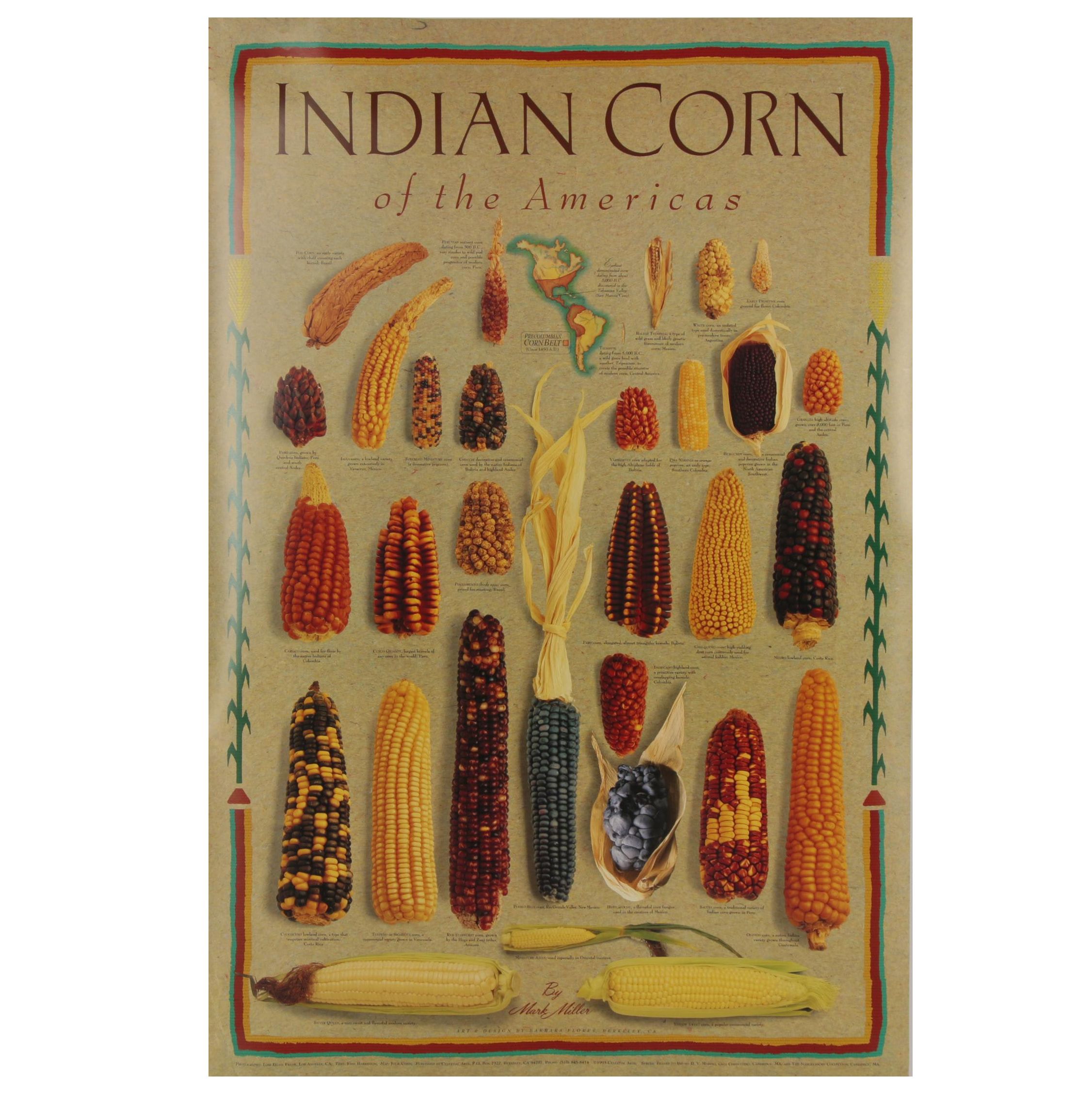 Digital Prints after Mark Miller "Indian Corn" and "Squash," 21st Century
